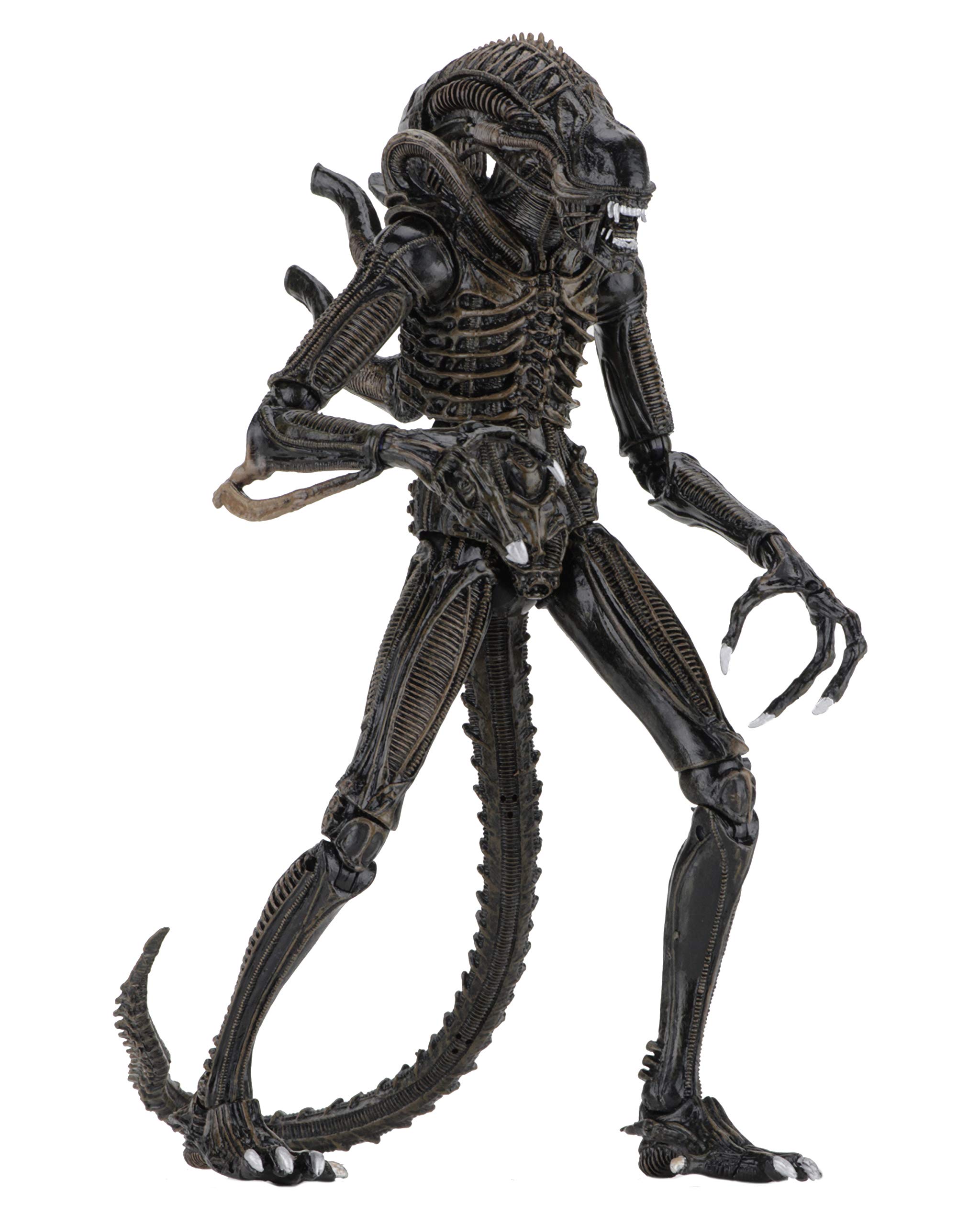 NECA Alien 7