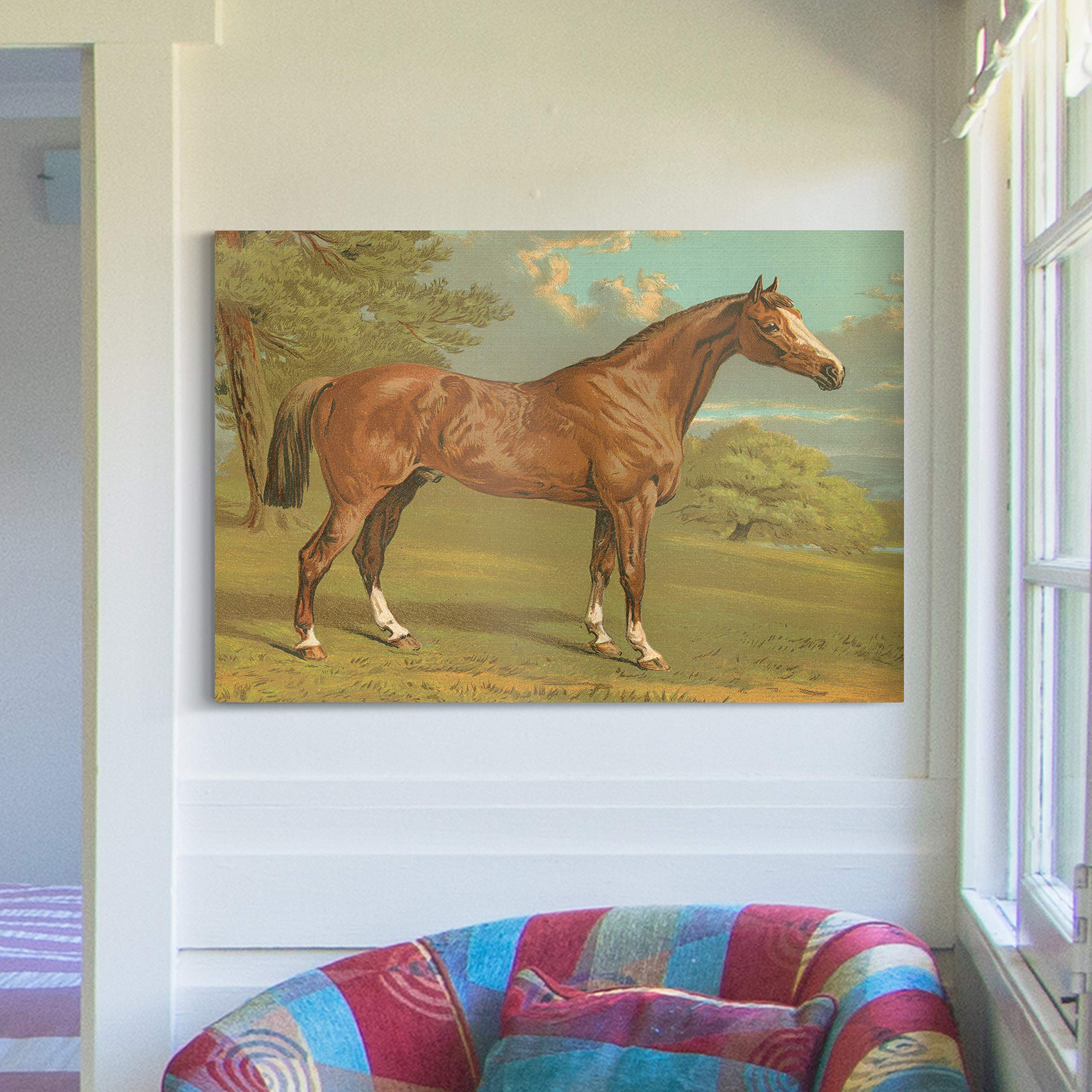 Premium Gallery Wrapped Canvas Wall Art - Handsome Brown Horse in Green Grass & Blue Sky | 32x48 Inches | Ready to Hang | Made in USA | Perfect for Living Room, Bedroom & Office Decor