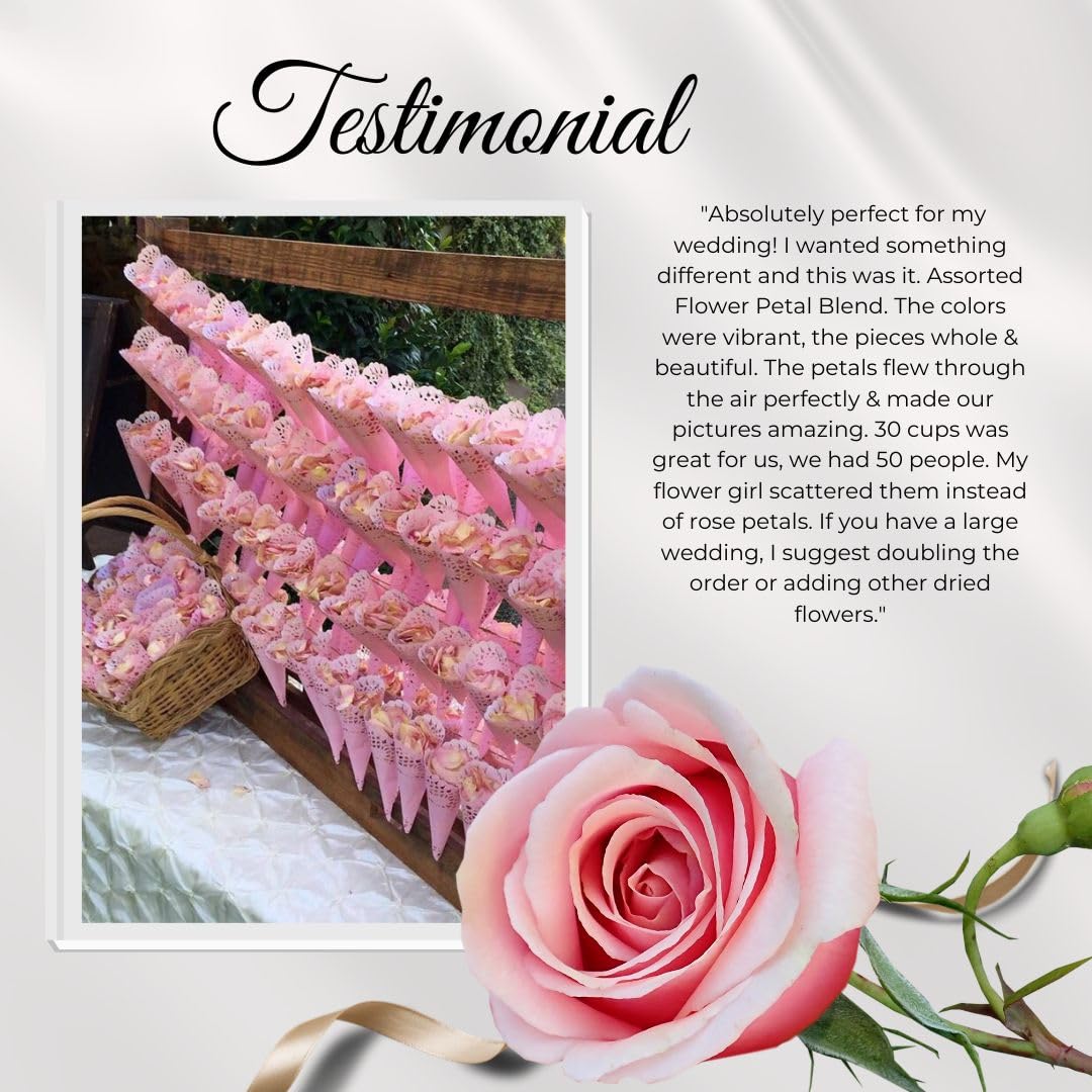 2000+ Freeze-Dried Ivory Rose Petals (60 Cups) - Premium Wedding Decor by Flyboy Naturals | Perfect for Aisle Scattering, Table Centerpieces & Romantic Events