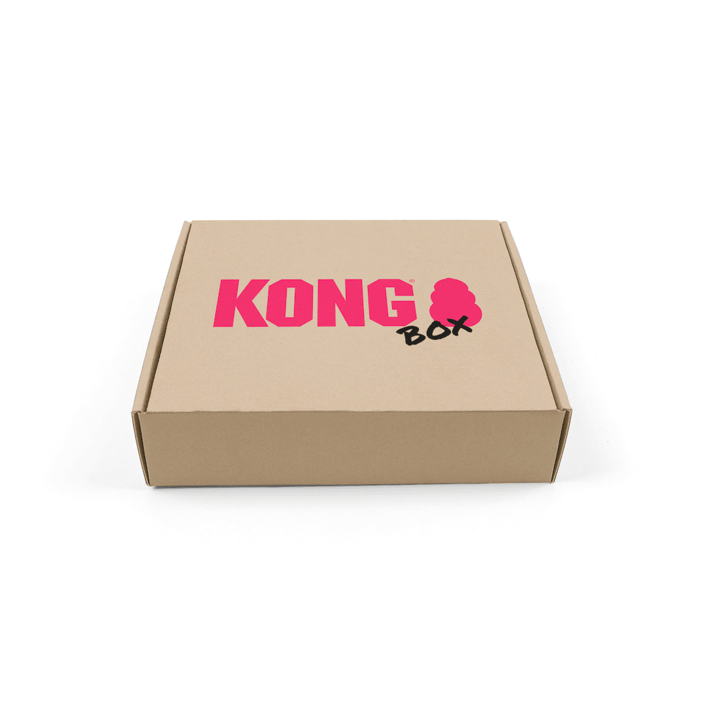 Kong Power Chewers Box - Durable Dog Chew Toys for Aggressive Chewers | 30% Off | Perfect for Large Dogs & Strong Chewers - Indoor & Outdoor Play