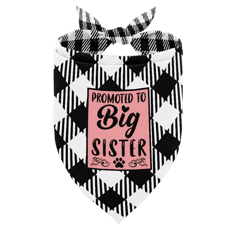 Pro to Big Sister 05