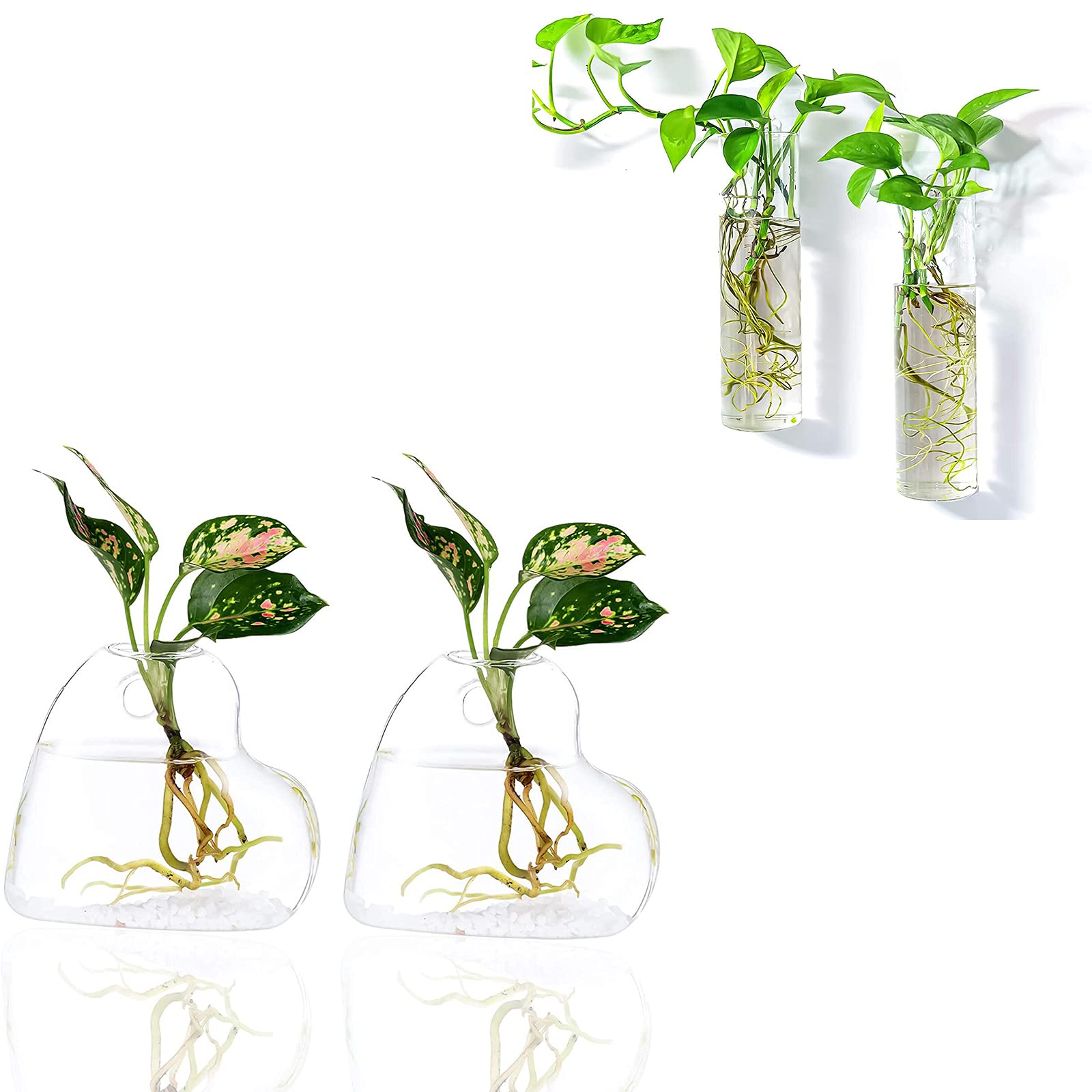 Kingbuy Glass Wall Hanging Planters - Air Plant Terrariums & Hydroponic Plant Containers for Home & Office Decor (Heart Vase + Large Cylinder) - Perfect for Indoor Gardens, Living Room Decor, and Gift Ideas