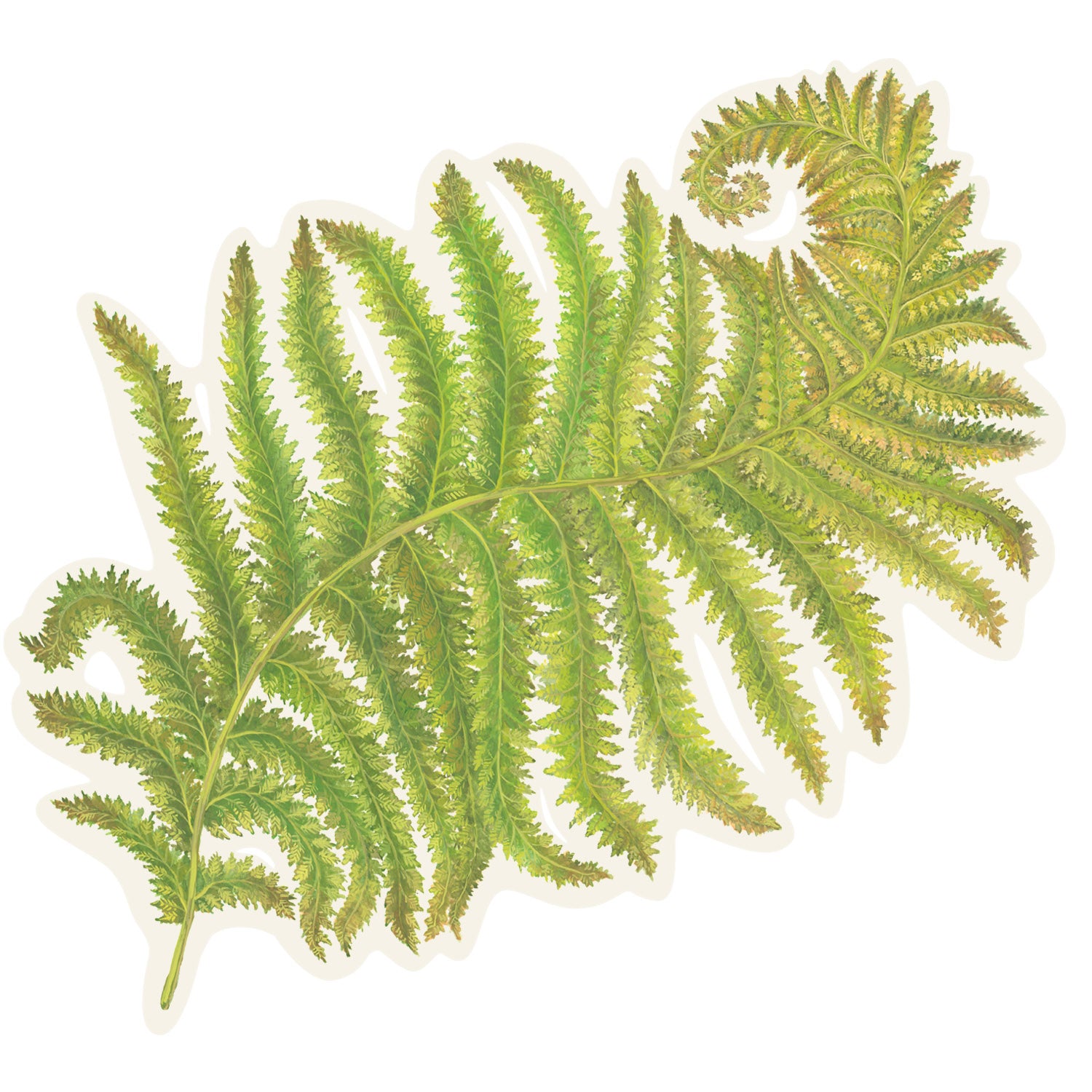 Eco-Friendly Die-Cut Fern Placemats Set of 4 - Natural Fiber Table Mats for Dining, Kitchen, and Party Decor - Perfect for Farmhouse, Boho, and Spring Table Settings