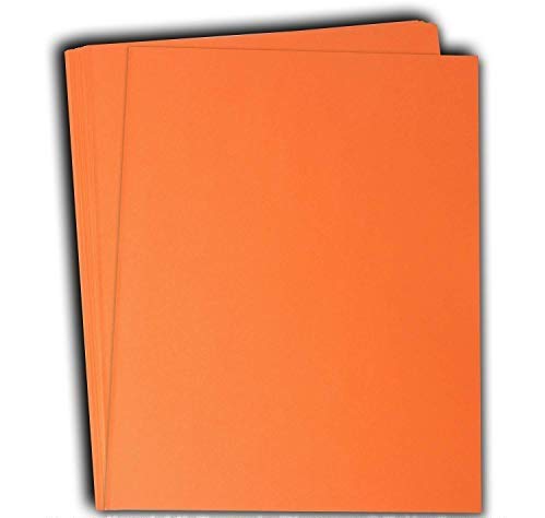 Flower Orange