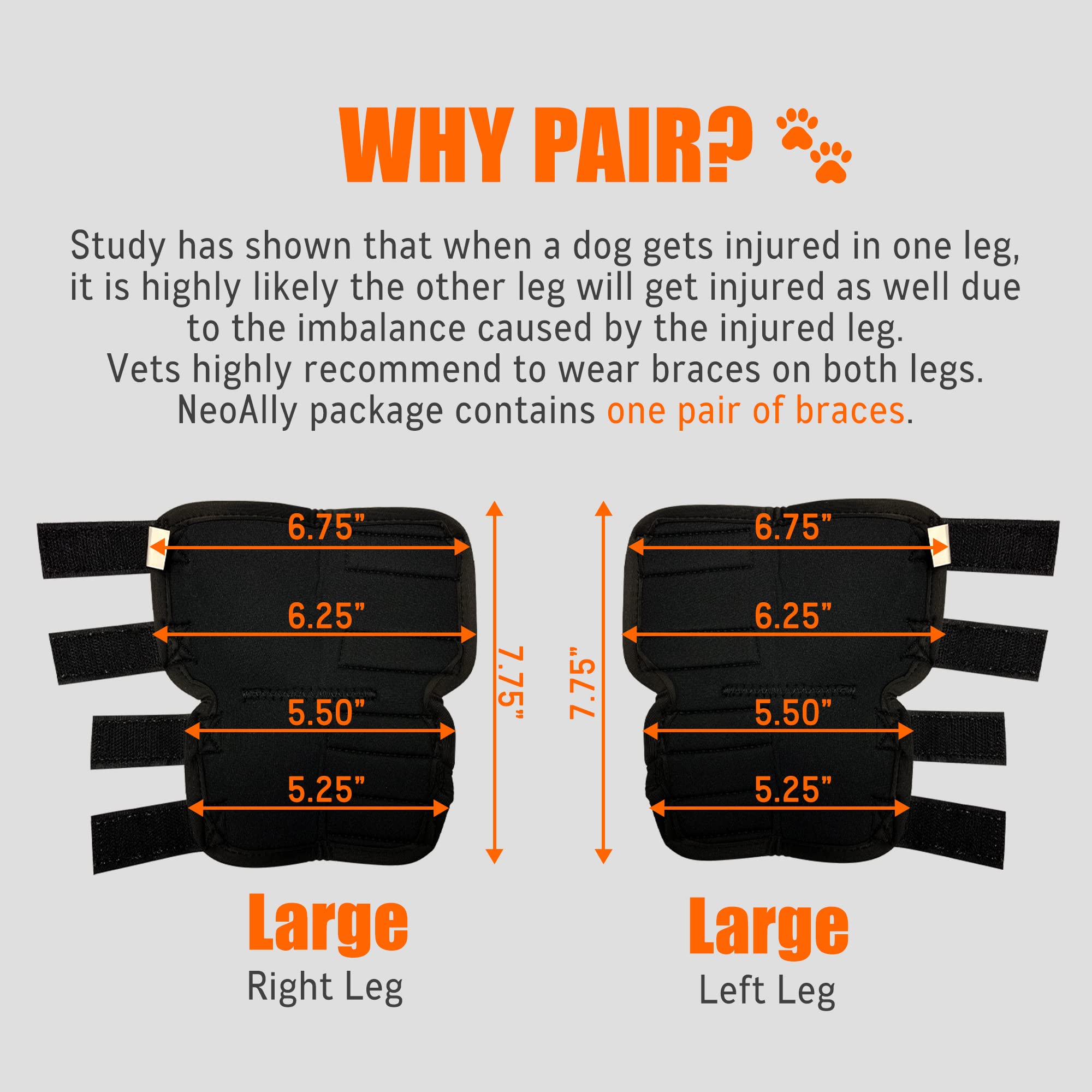 NeoAlly® Dog Rear Leg Hock Brace - Large Size Support for ACL, CCL Injuries & Ankle Stability - 1 Pair for Big Dogs - Perfect for Post-Surgery Recovery & Active Pets