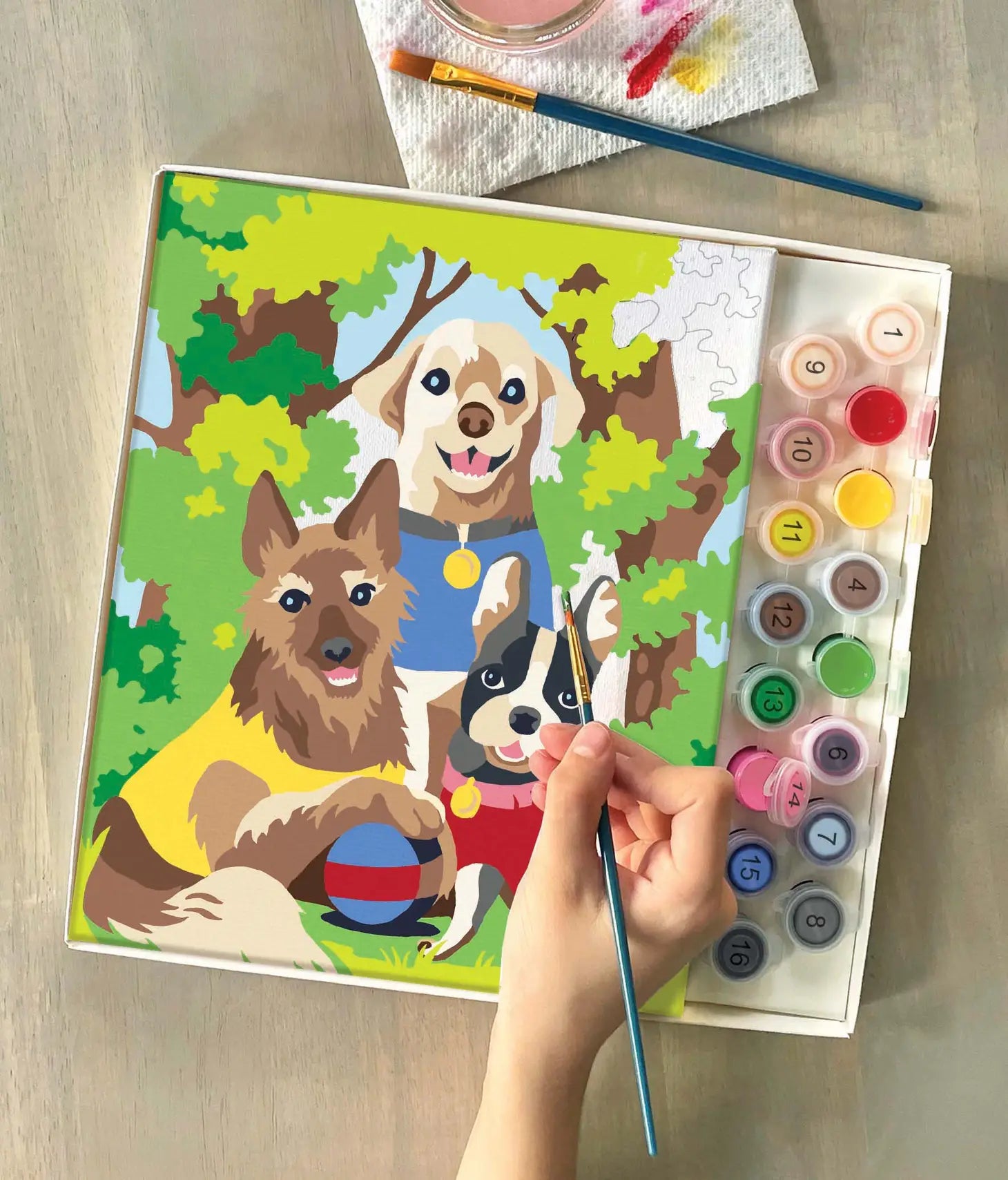 iHeartArt Paint by Numbers Kit - Dogs' Day Out Painting for Adults & Beginners | DIY Home Decor Art, Wall Decor, Relaxation & Stress Relief Activity