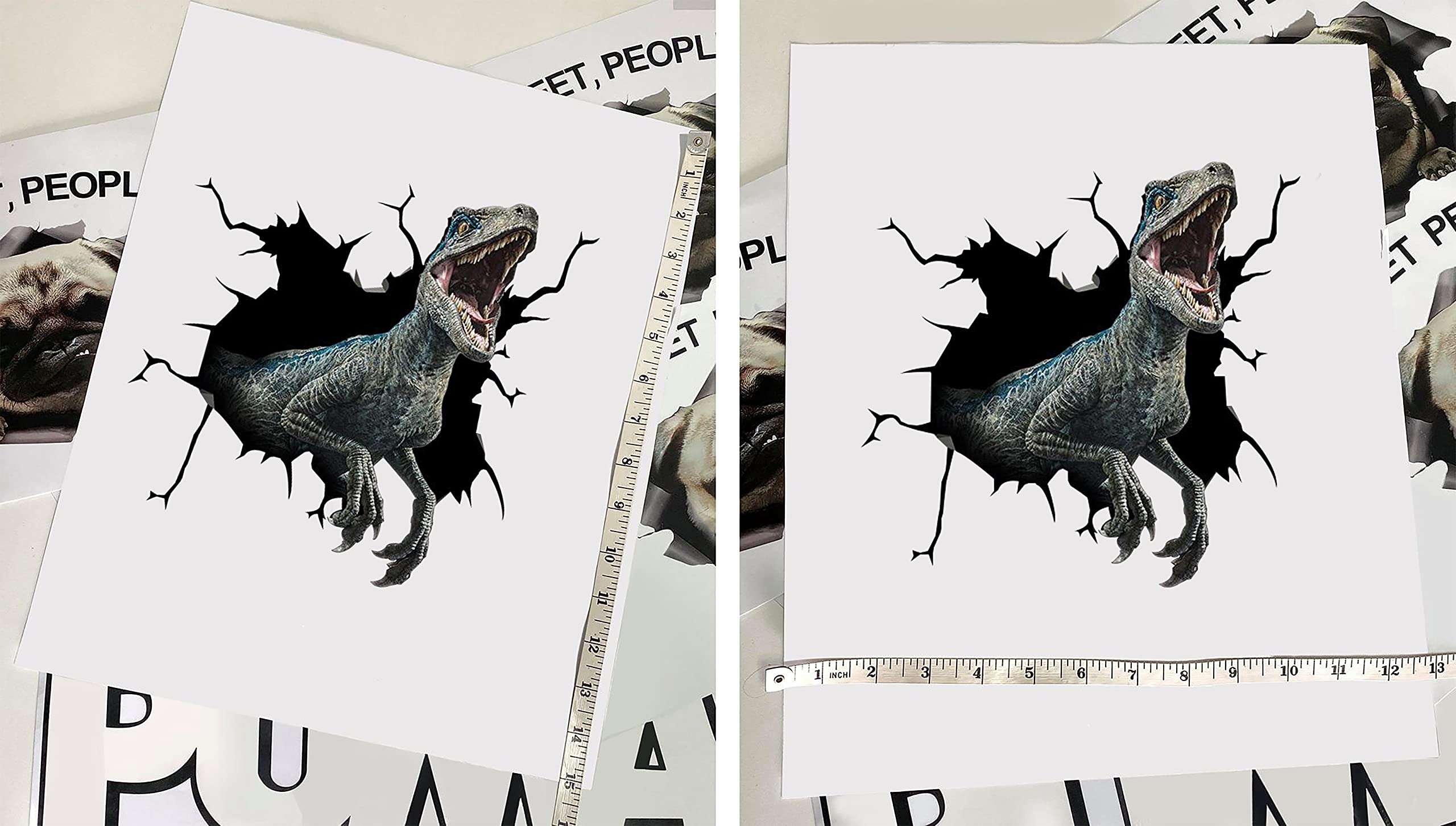 Velociraptor Dinosaur Car & Wall Decals Stickers - Pack of 2 Realistic Dinosaur Stickers 10
