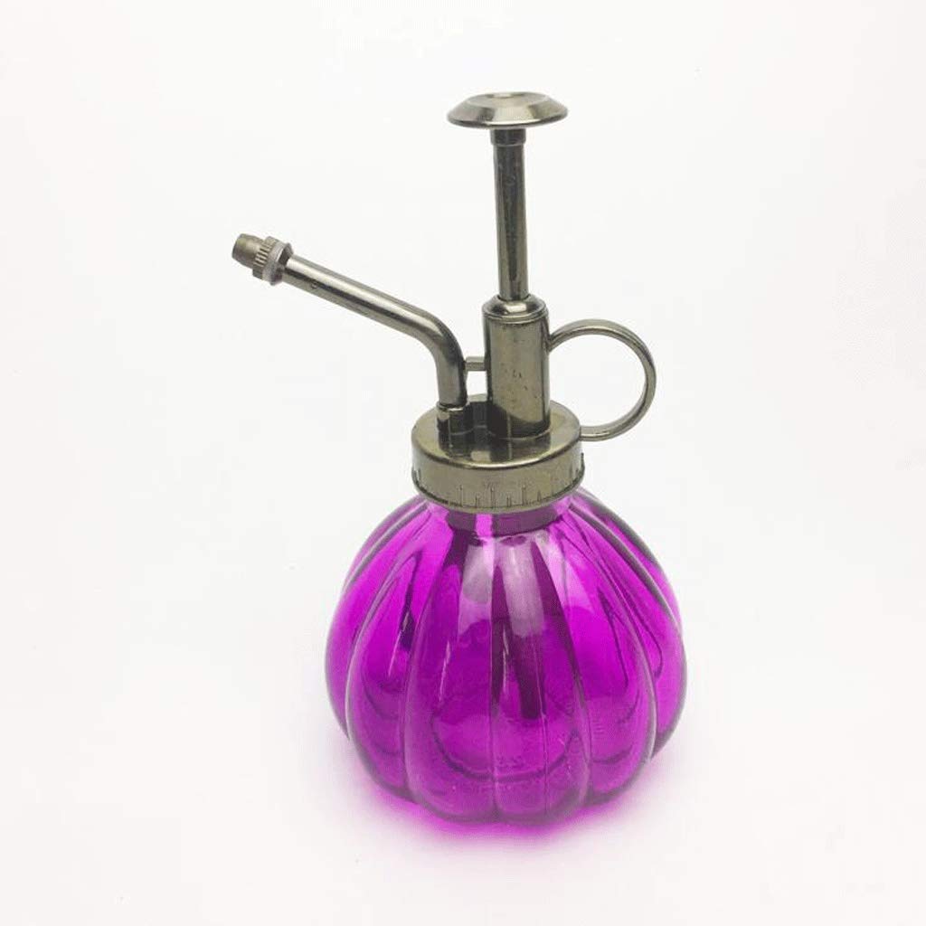 230ML Glass Watering Can - Purple Plant Watering Pot, Flower Spray Bottle & Garden Mister for Indoor Plants, Succulents, Hairdressing & Gardening Tools | Perfect for Home, Office & Outdoor Use