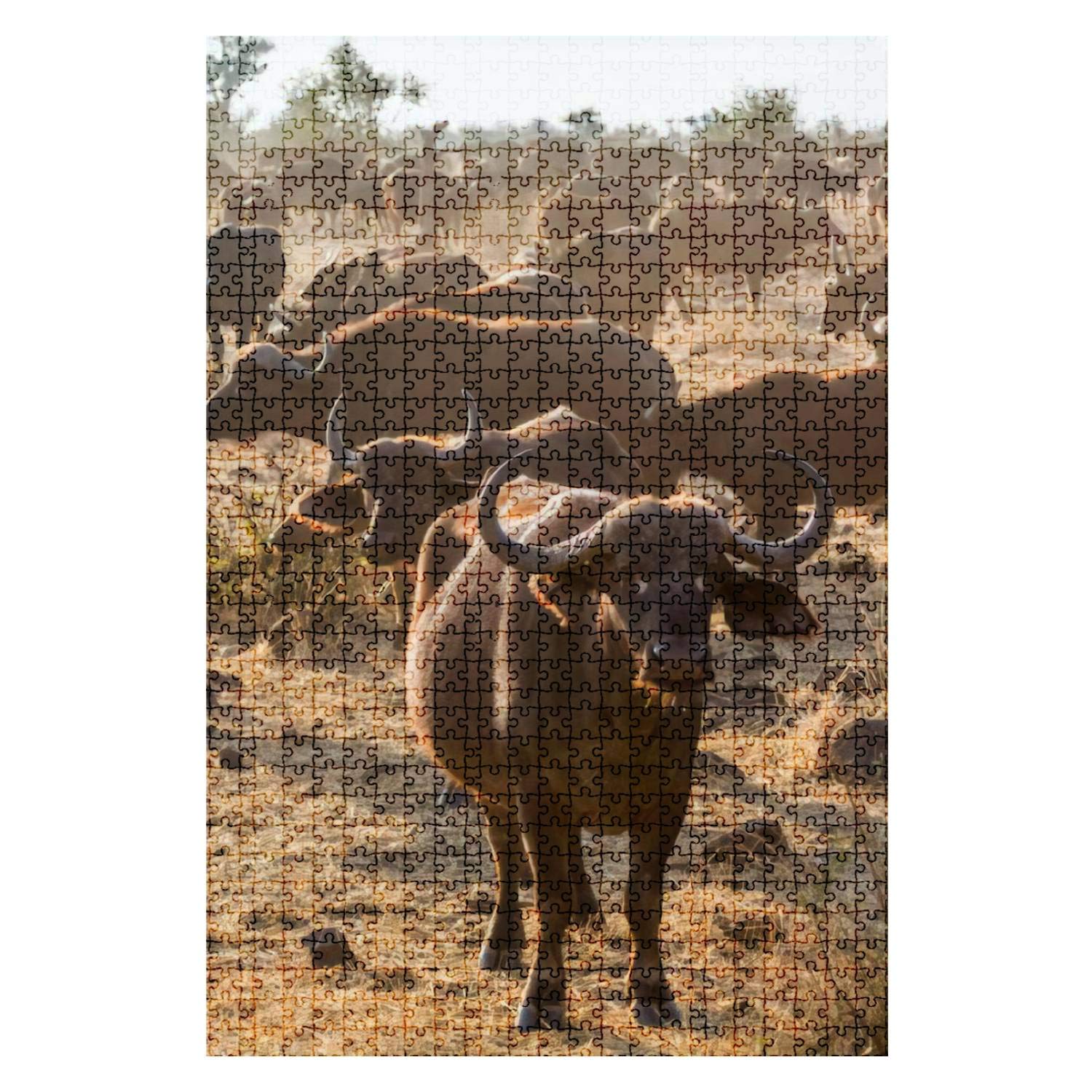 1000-Piece Wooden Jigsaw Puzzle - African Buffalo in Kruger National Park, South Africa | Challenging Wildlife Puzzle for Adults & Kids | Educational DIY Board Game | Home Decor & Gift Idea | Perfect for Family Game Nights, Classroom Activities, and Stress Relief