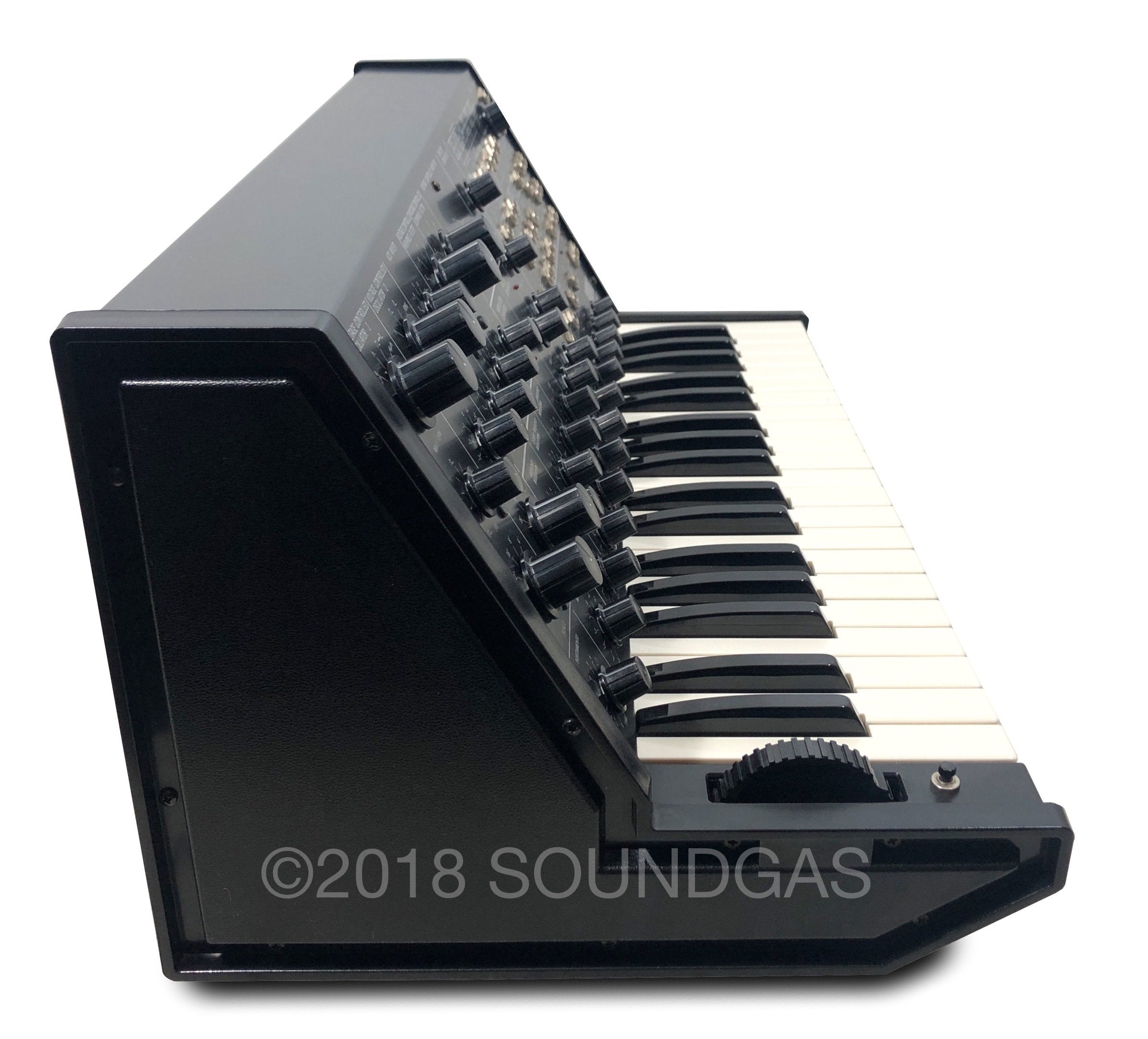 Korg MS-20 Mini Analog Synthesizer with Hard Case - Perfect for Studio Recording, Live Performances & Electronic Music Production