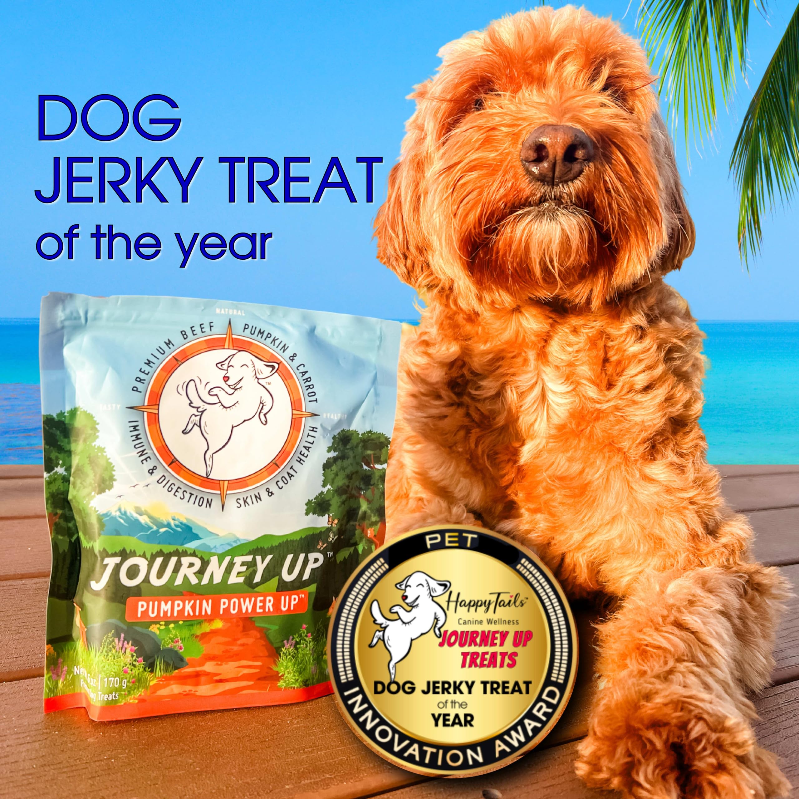 HappyTails Pumpkin Power Up Jerky Treats for Dogs - Beef, Pumpkin & Carrots Recipe - Made in USA - Supports Gut Health with Prebiotics - Promotes Skin & Coat with Omega 3 & 6 - All Dog Sizes (6 oz) - Perfect for Training Rewards & Digestive Health Boosting