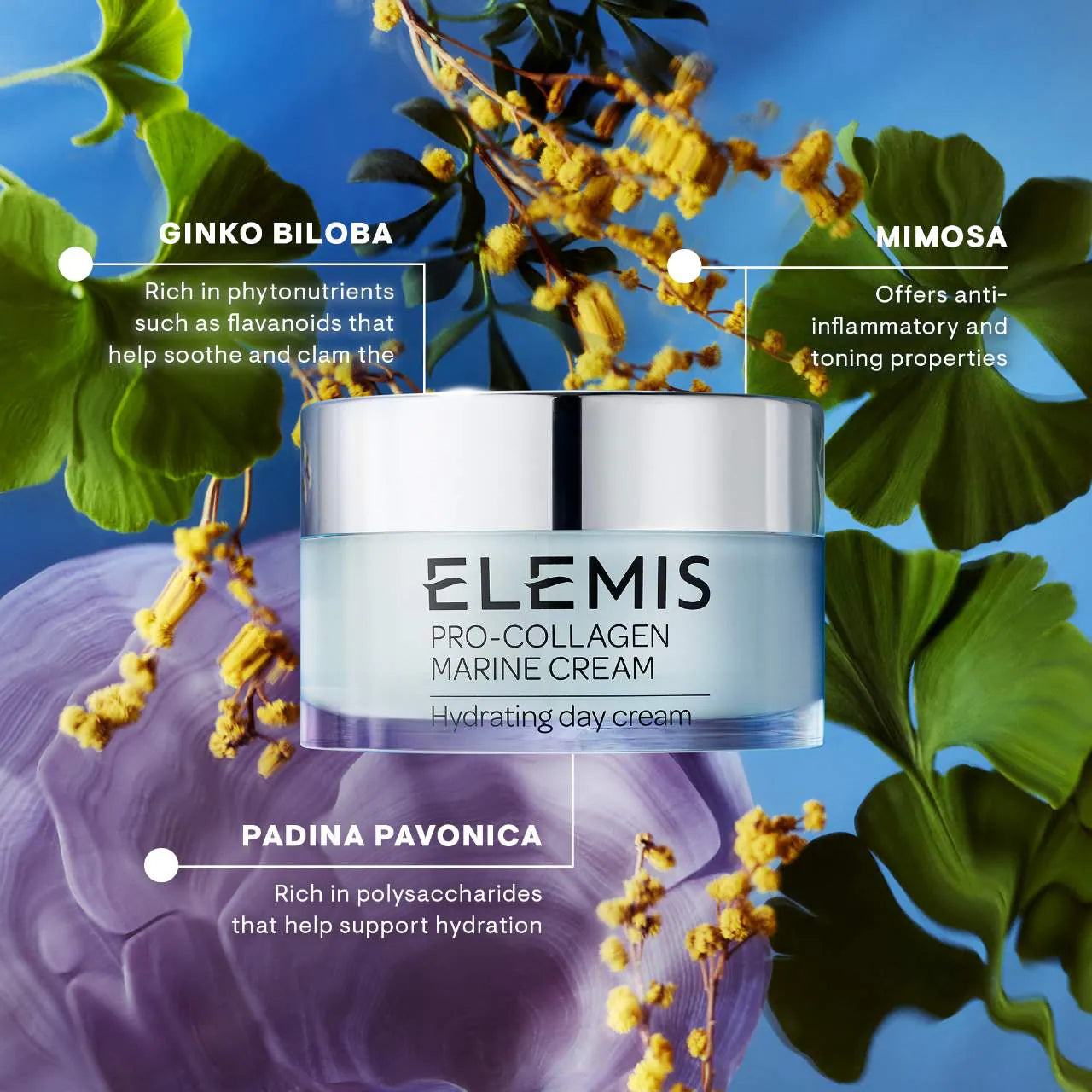 Elemis Pro-Collagen Marine Cream 50ml - Anti-Aging Face Moisturizer for Wrinkles & Firming | Day & Night Skincare for Women | Perfect for Dry Skin & Mature Skin Care Routine