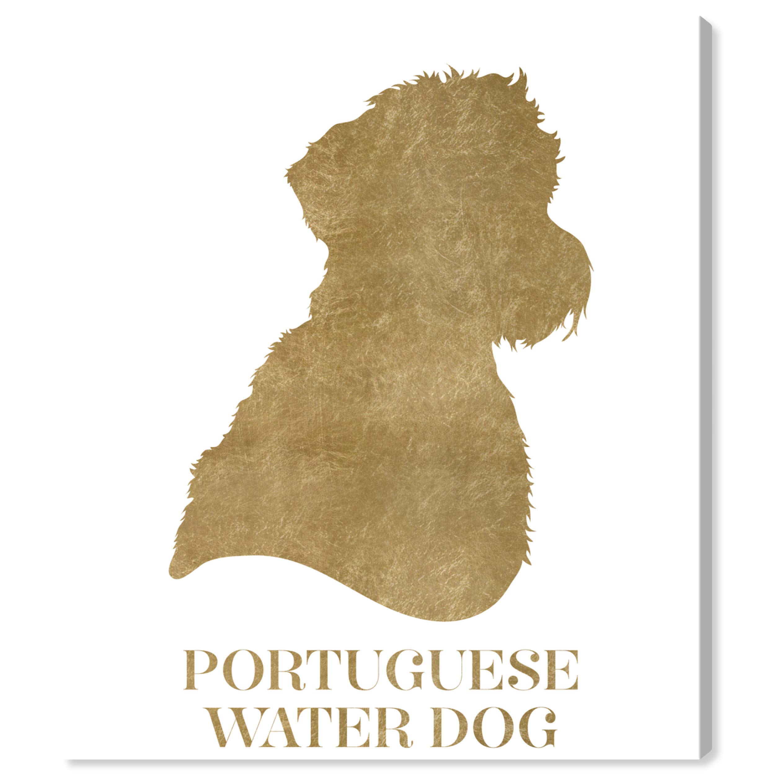Portuguese Water Dog Canvas Wall Art Print - 20