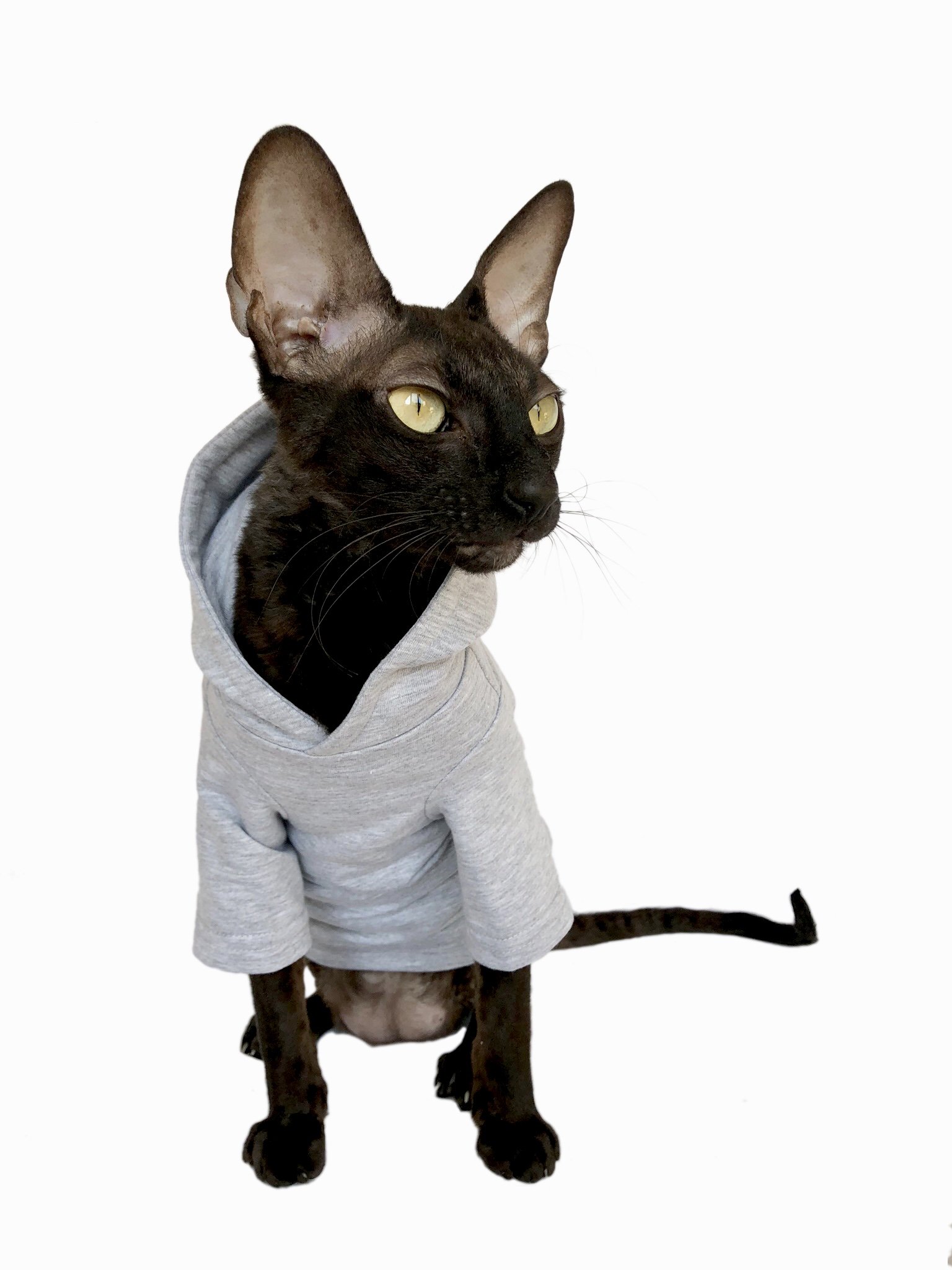 Cat Hoodie for Large Cats - Cozy & Stylish Pet Apparel for Indoor Comfort & Playtime