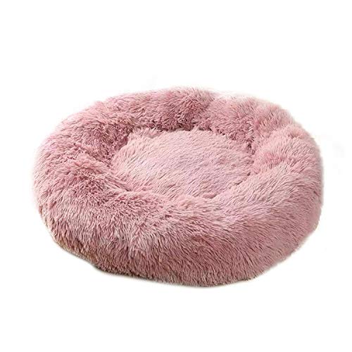 Pink 1