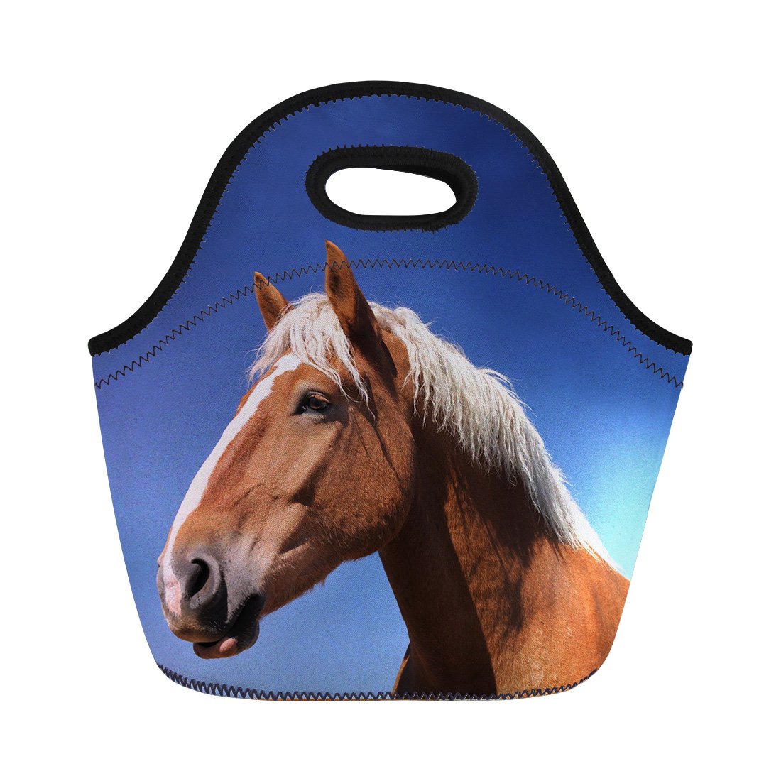 Insulated Horse Tote Lunch Bag for Women & Kids - Leakproof Cooler Bag for School, Work, Travel & Picnic - Perfect for Office Lunch, Beach Outings and Outdoor Adventures