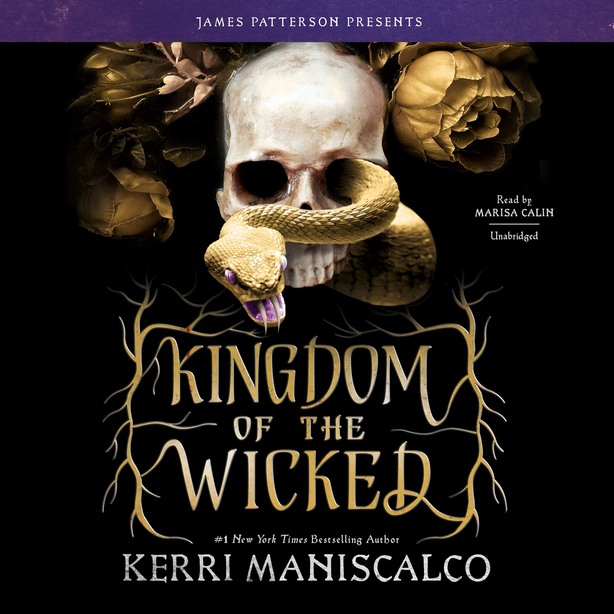 Kingdom of the Wicked (The Kingdom of the Wicked Series) - Dark Fantasy Novel for Teens & Adults - Perfect for Halloween Reading & Book Club Discussions
