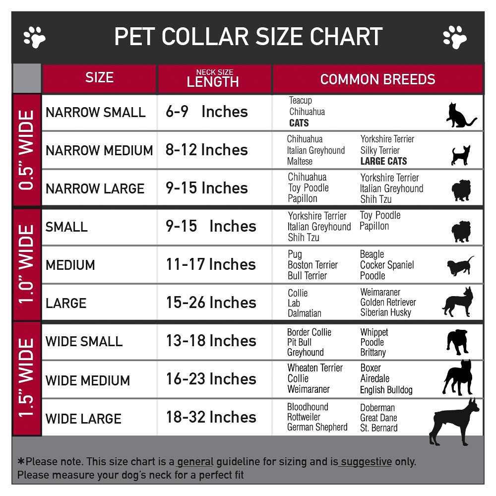 Buckle-Down Angry Girl Martingale Dog Collar - 1 Inch Wide Adjustable (15-26 Inch Neck) for Large Dogs - Durable Nylon Pet Collar for Training, Walking & Outdoor Activities