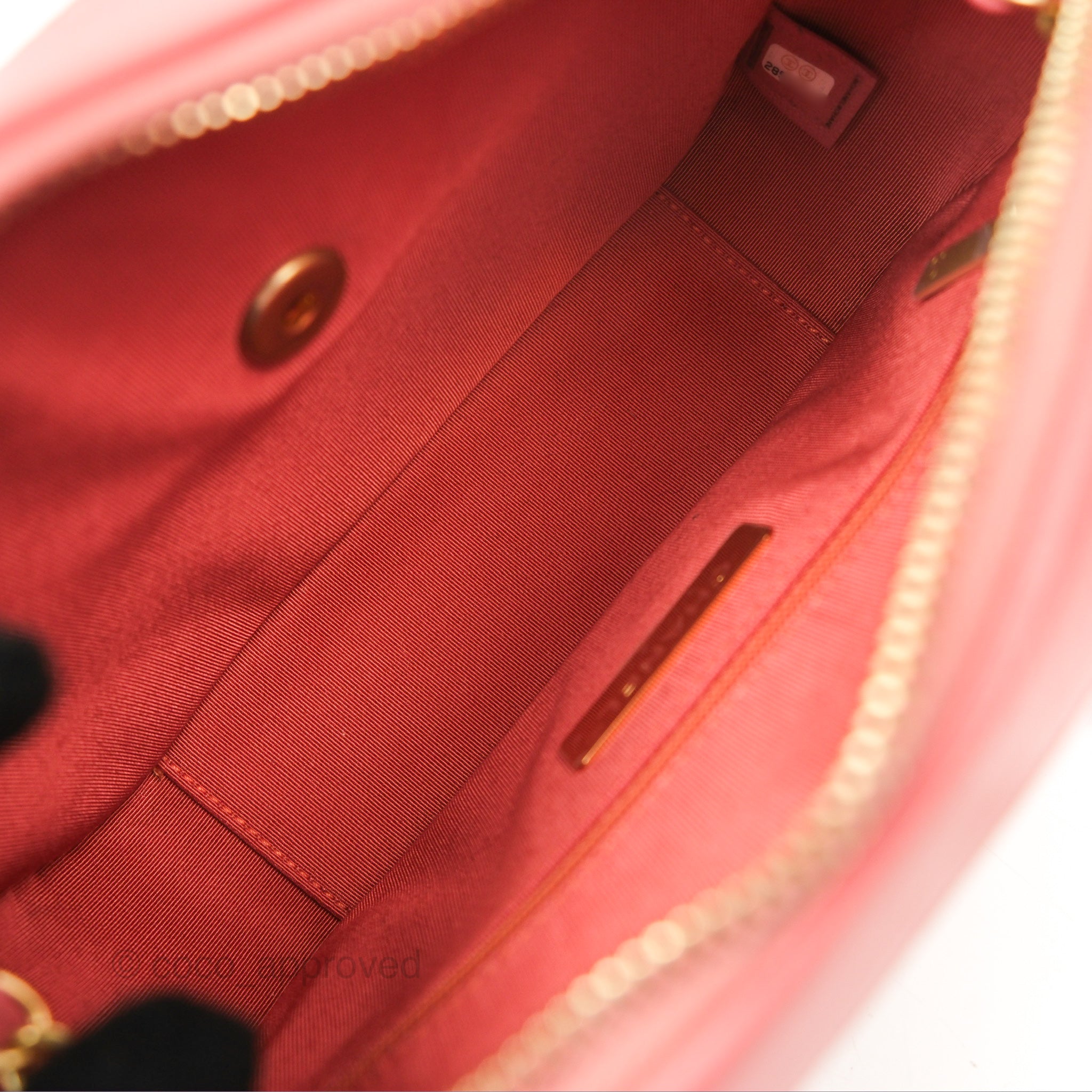 Chanel Pink Goatskin Camera Bag with Aged Gold Chain Strap - Luxury Crossbody Bag for Women, Perfect for Parties & Date Nights