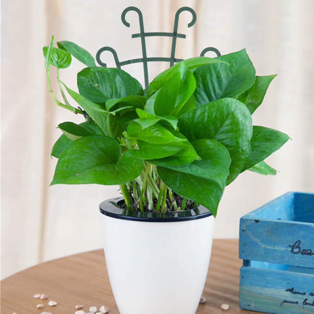 Stackable Indoor Plant Trellis for Climbing Plants - 4 Pack Small Plant Support for Ivy, Hoya & Vine Plants - Perfect for Potted Houseplants, Balcony Gardens & Outdoor Flower Beds