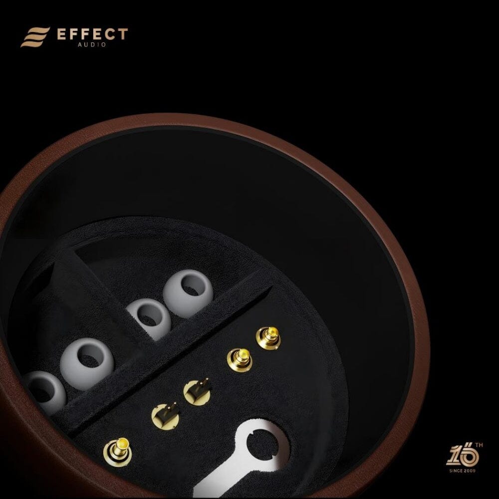 Effect Audio Solo Carrying Case - Premium Protective Storage for Earphones & Earbuds - Perfect for Travel, Gym, and Daily Commute