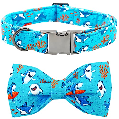 A: BB Shark
