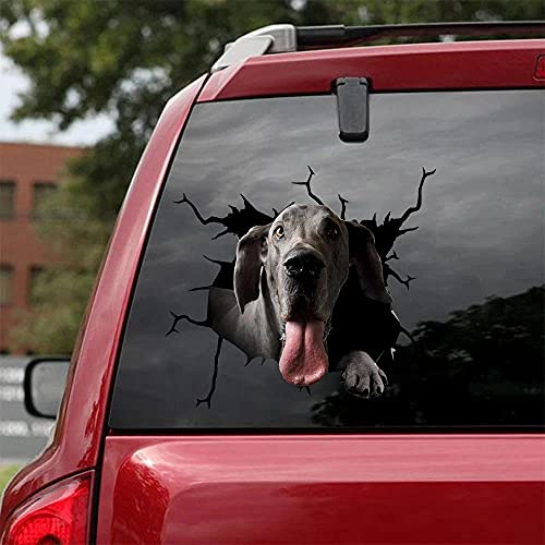 Great Dane