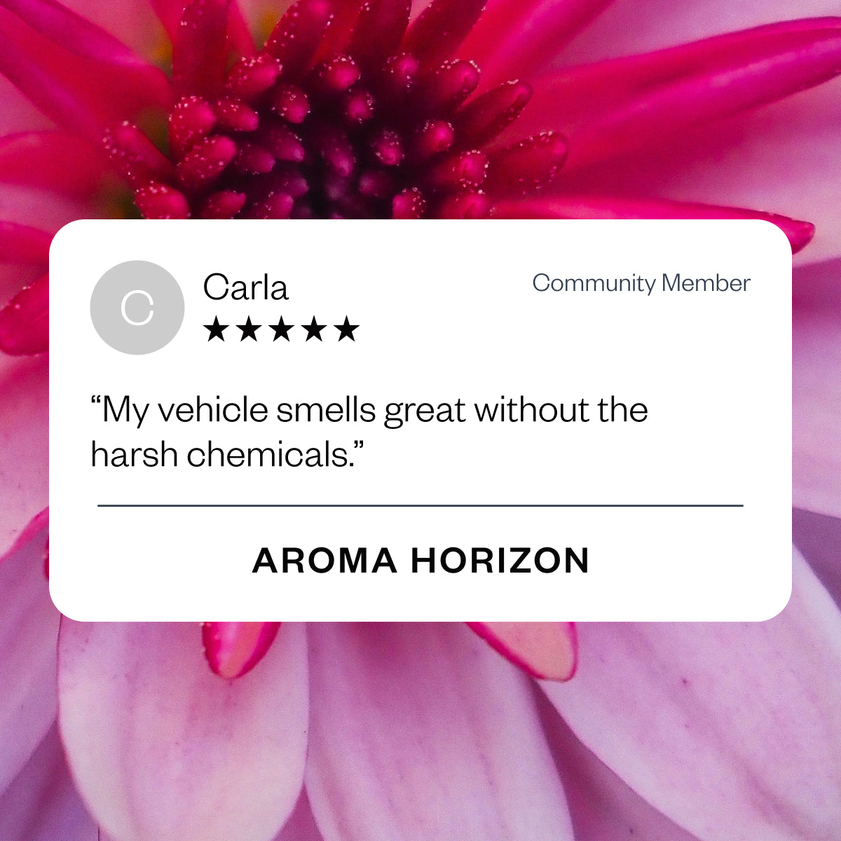 Aroma Horizon Passive Car Diffuser - Essential Oil Air Freshener for Vehicles | Perfect for Home, Office & Travel Use