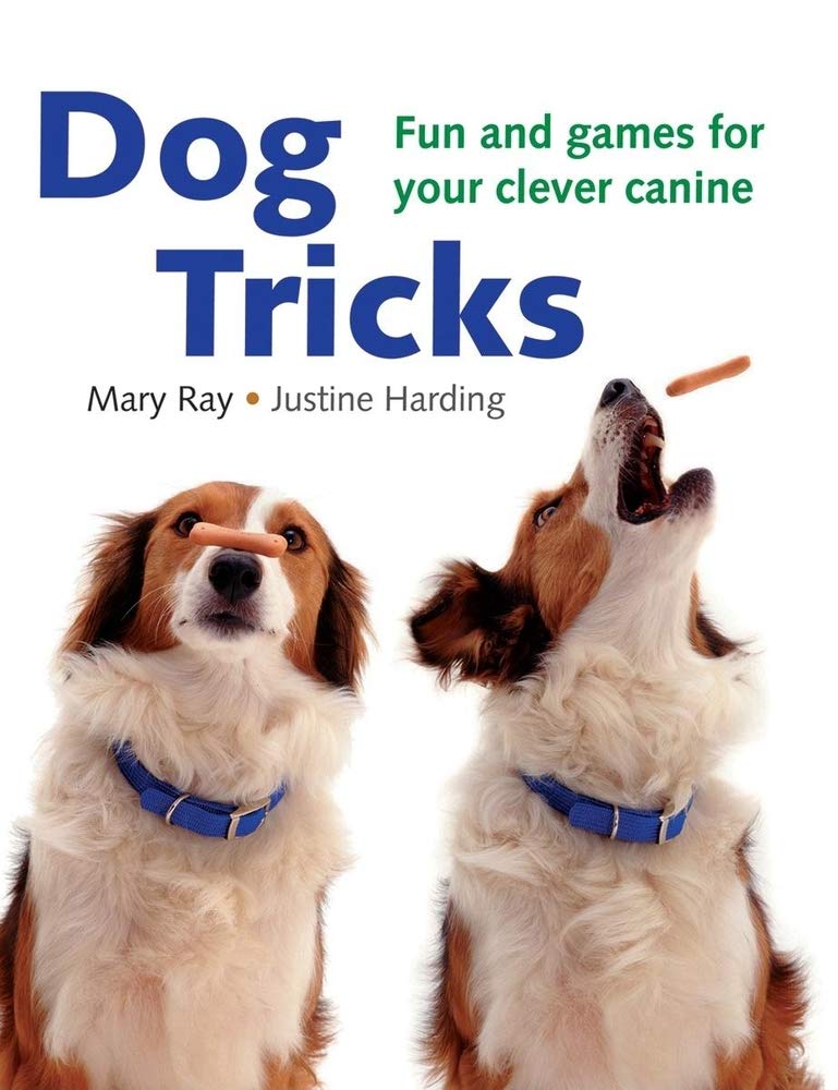 Dog Tricks: Fun and Easy Training Games for Smart Dogs | Improve Obedience & Bonding at Home