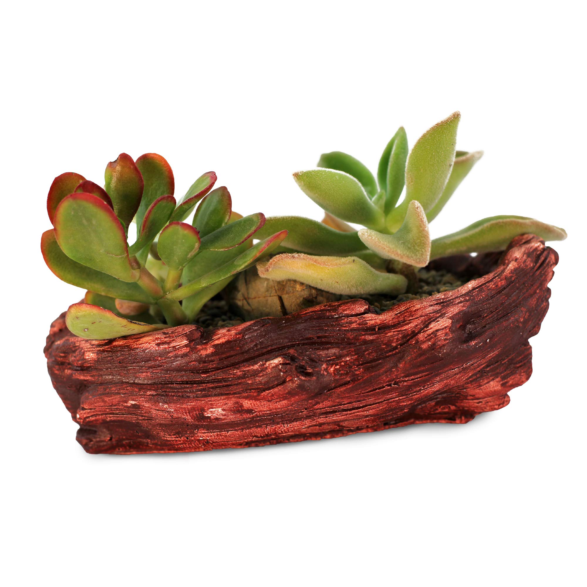 Ceramic Wood Plant Pot - Indoor Wood Planter for Succulents & Small Plants | Unique Log Planter with Redwood Whale Design | Perfect for Home Decor, Office Desk & Gift Giving