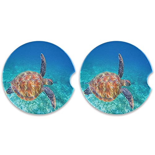 Sea Turtle