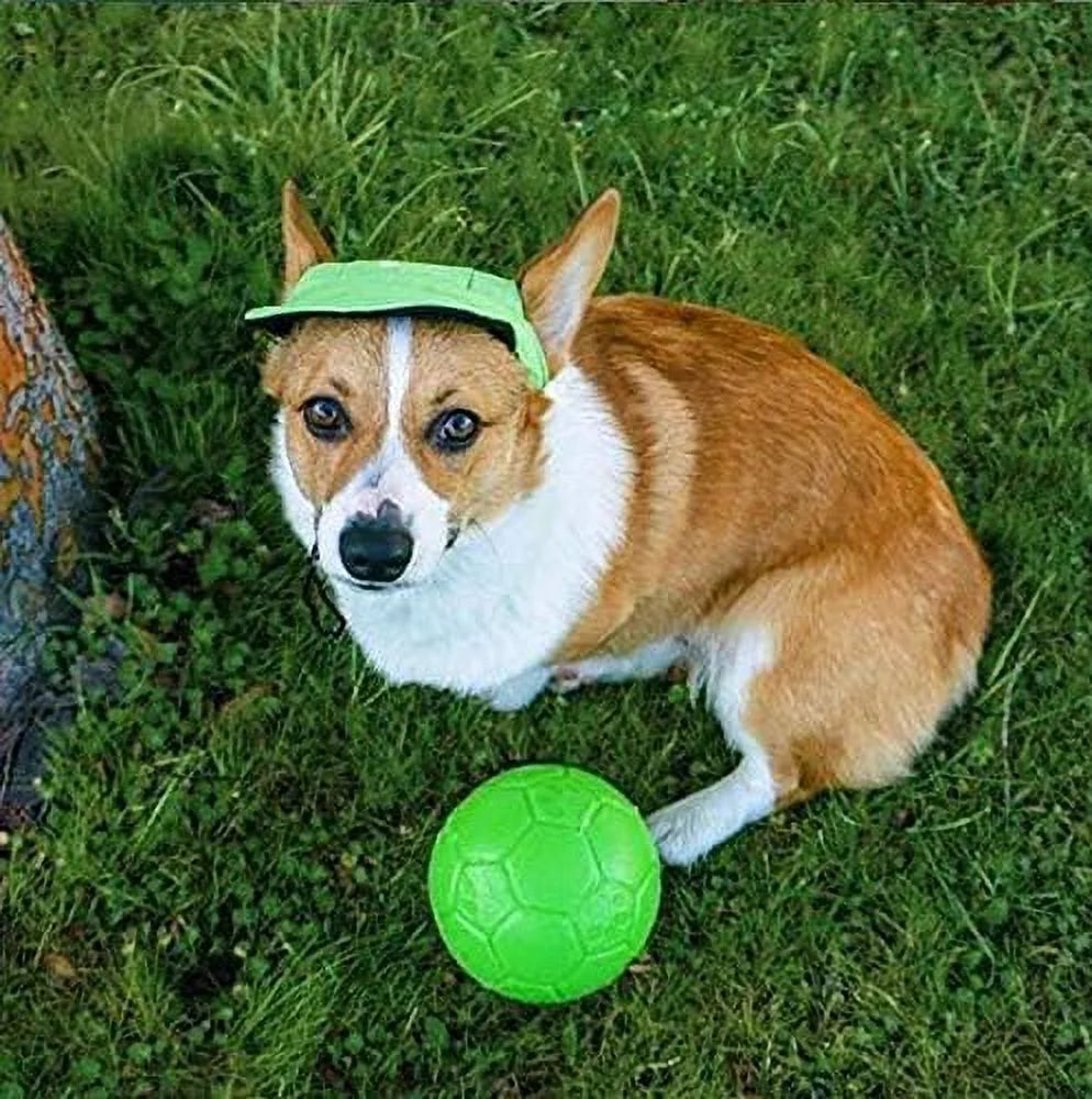Green 6-Inch Apple Scented Rubber Soccer Ball Chew Toy for Dogs - Durable Puppy Teething Toy for Aggressive Chewers, Interactive Play & Training