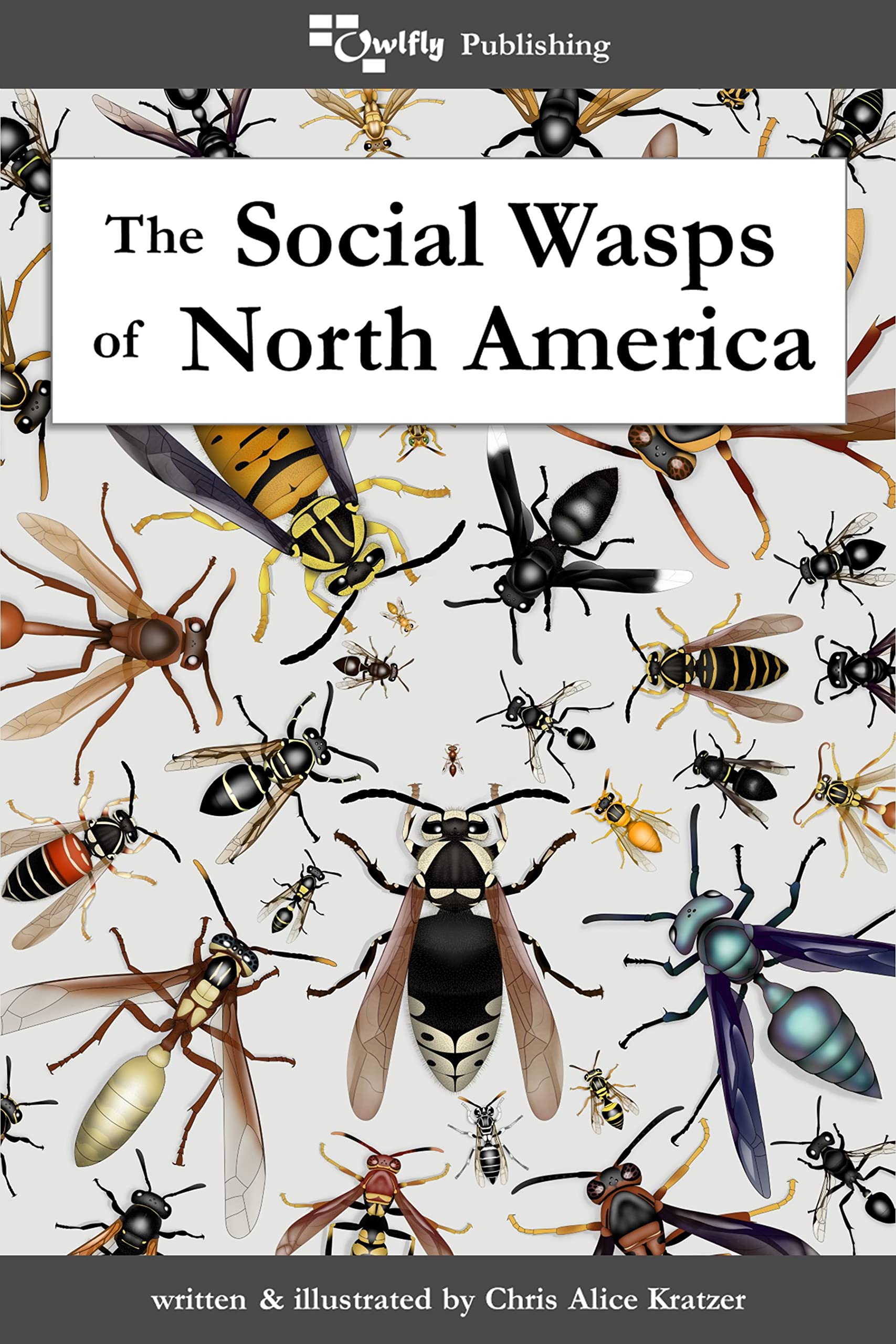 The Social Wasps of North America - Identification, Behavior & Habitat Guide for Nature Enthusiasts | Perfect for Backyard Observation, Educational Use & Insect Research