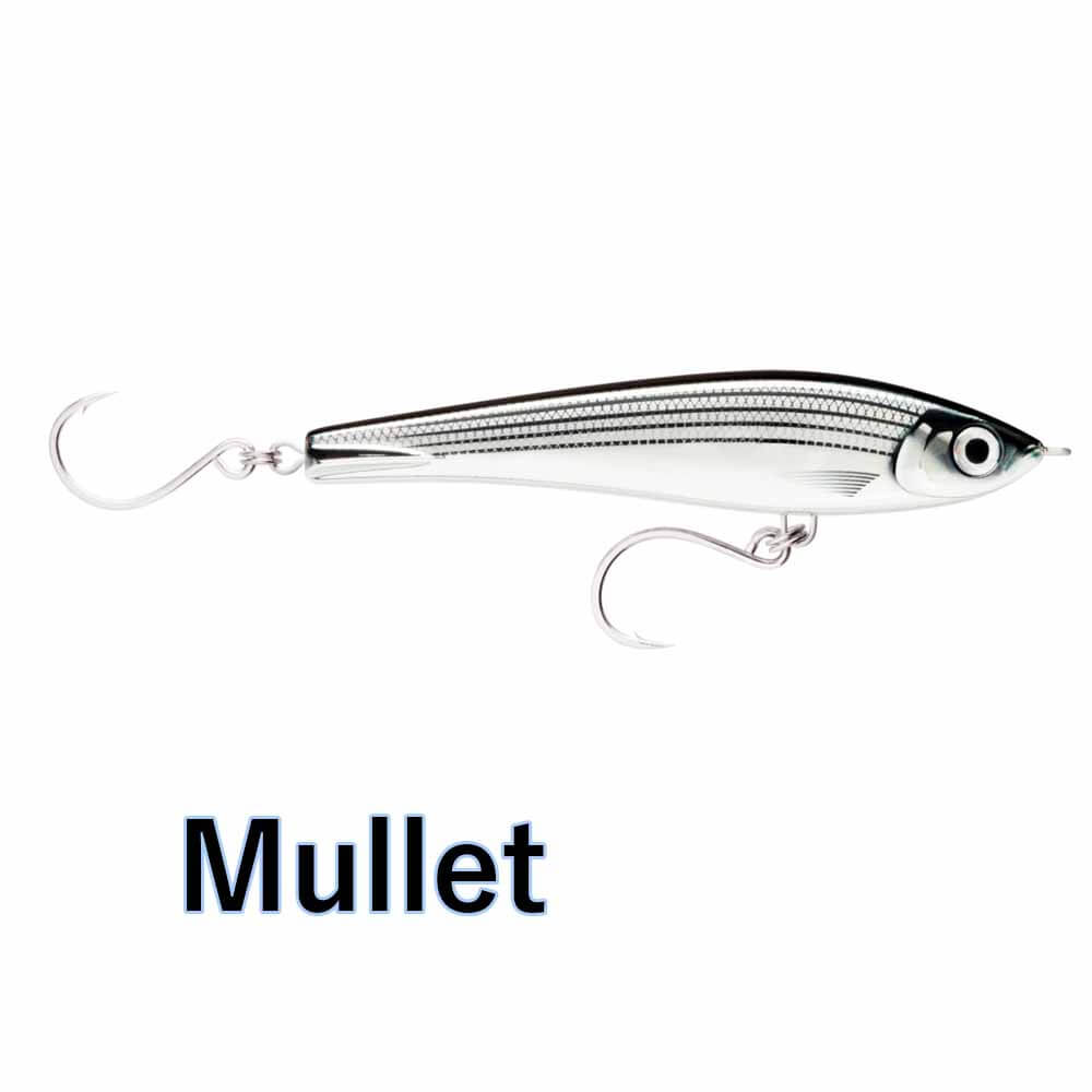 SILVER BLUE MACKEREL