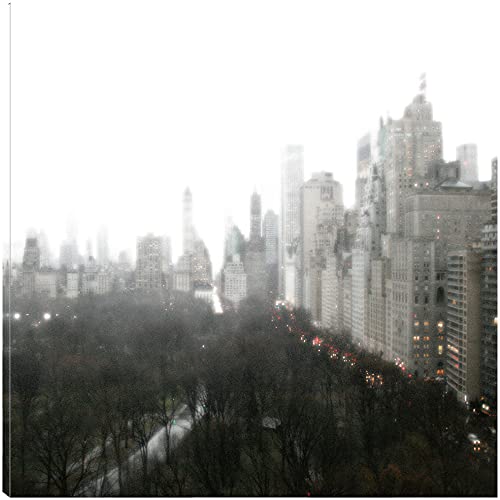 Above Central Park