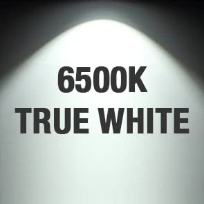 6500K True White