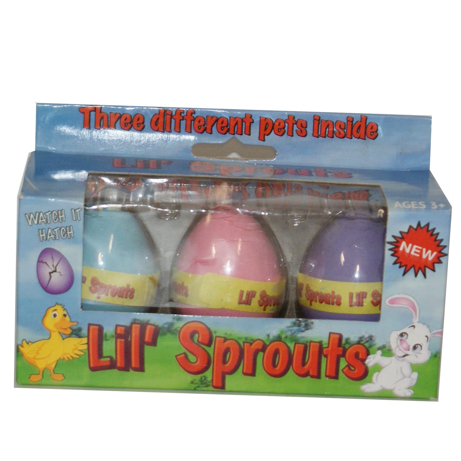 Organic Harvey J Lil' Sprouts Eggs - Farm Fresh, Non-GMO, Free Range Chicken Eggs - Perfect for Breakfast, Baking & Healthy Cooking