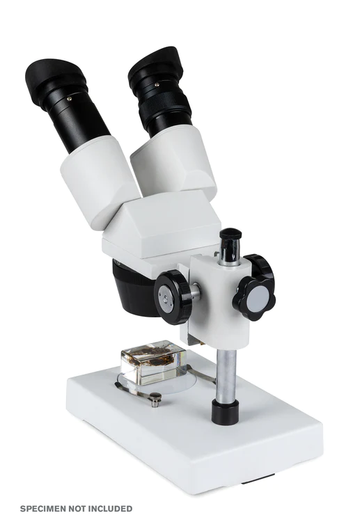 Celestron Labs S1030N Stereo Microscope 20x-40x Magnification for Kids & Adults - Perfect for Coin Collecting, Jewelry Inspection & Science Education