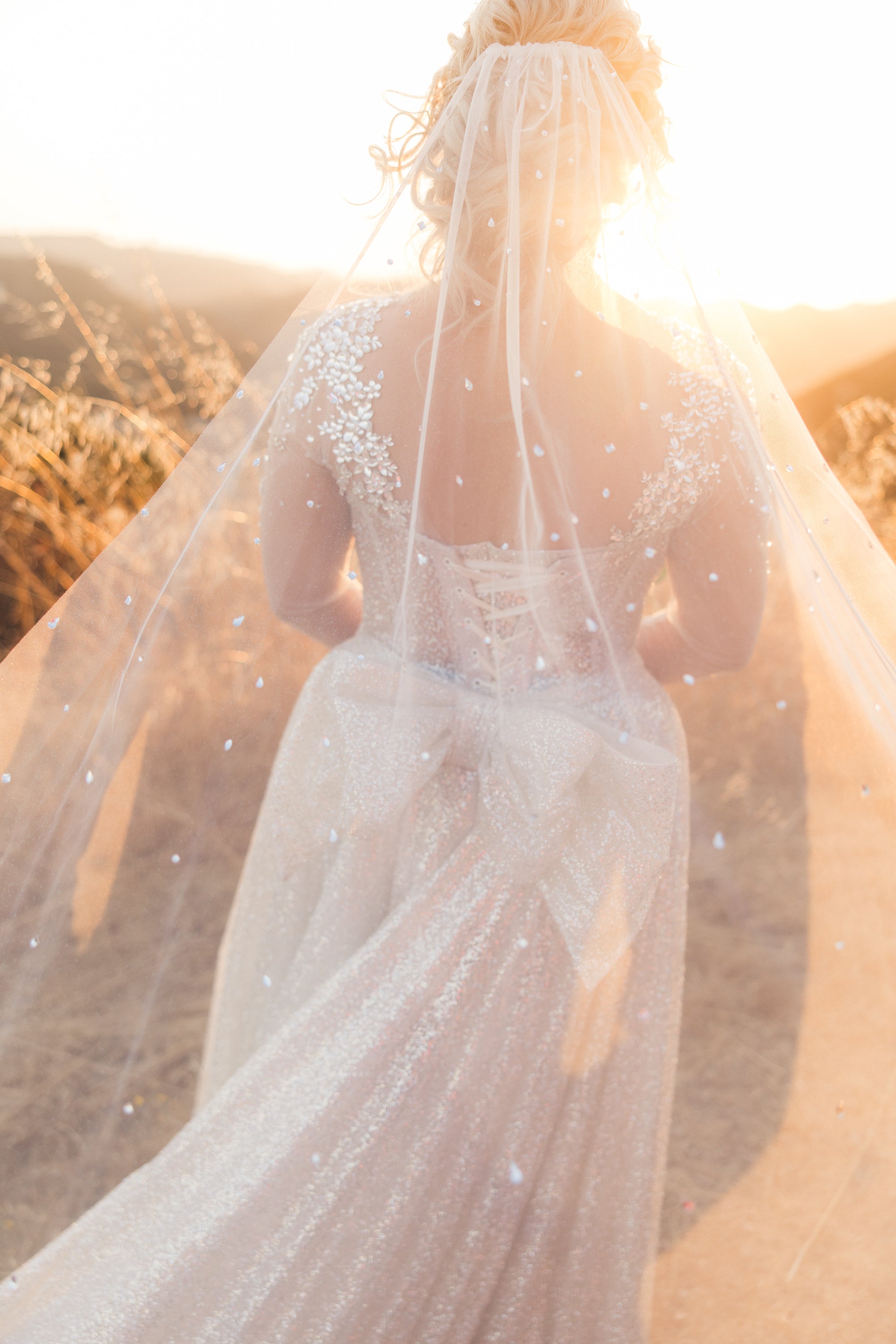 Elegant Bejeweled Cathedral Bridal Veil - Sparkling Wedding Veil with Crystal Embellishments for Bride | Perfect for Church Weddings, Formal Ceremonies & Bridal Photography