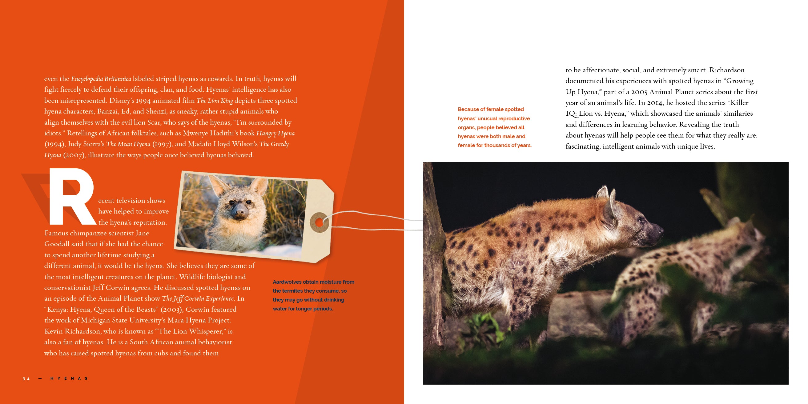 Hyenas Book - 9781640267879 | Wildlife Education & Animal Facts for Kids & Adults | Perfect for School Projects & Nature Lovers