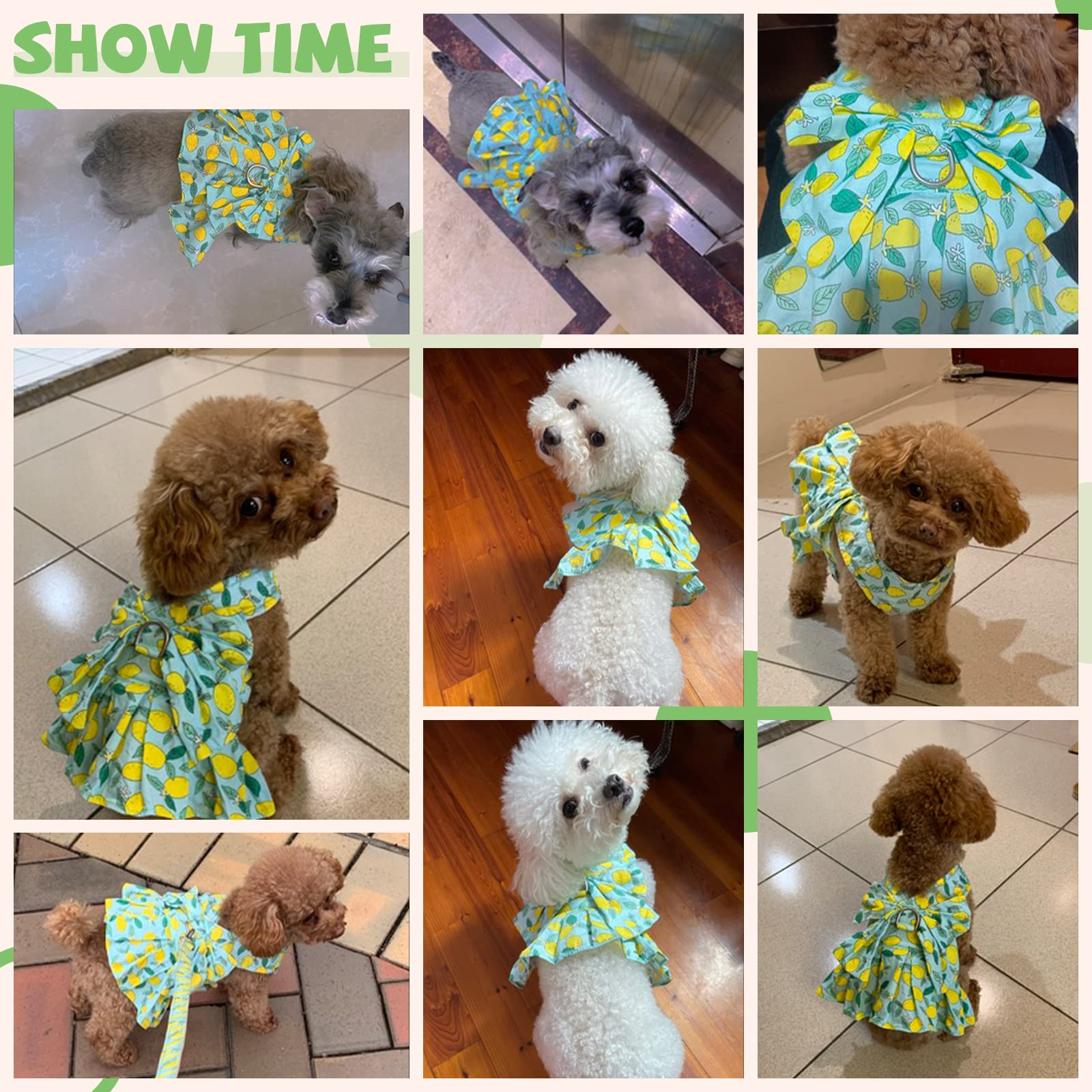 BAEJMJK Floral Princess Dog Dress with Bowknot Harness & Leash Set - Cute Puppy Outfits for Small Dogs & Cats - Breathable Summer Pet Clothes (Green, X-Small) - Perfect for Spring Walks, Photo Shoots & Special Occasions