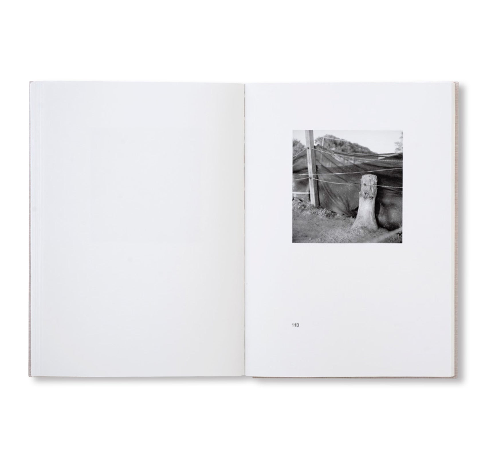 Signed MELONI MELONI Book by Gerry Johansson - Photography Art Collection for Home Decor & Coffee Table Display