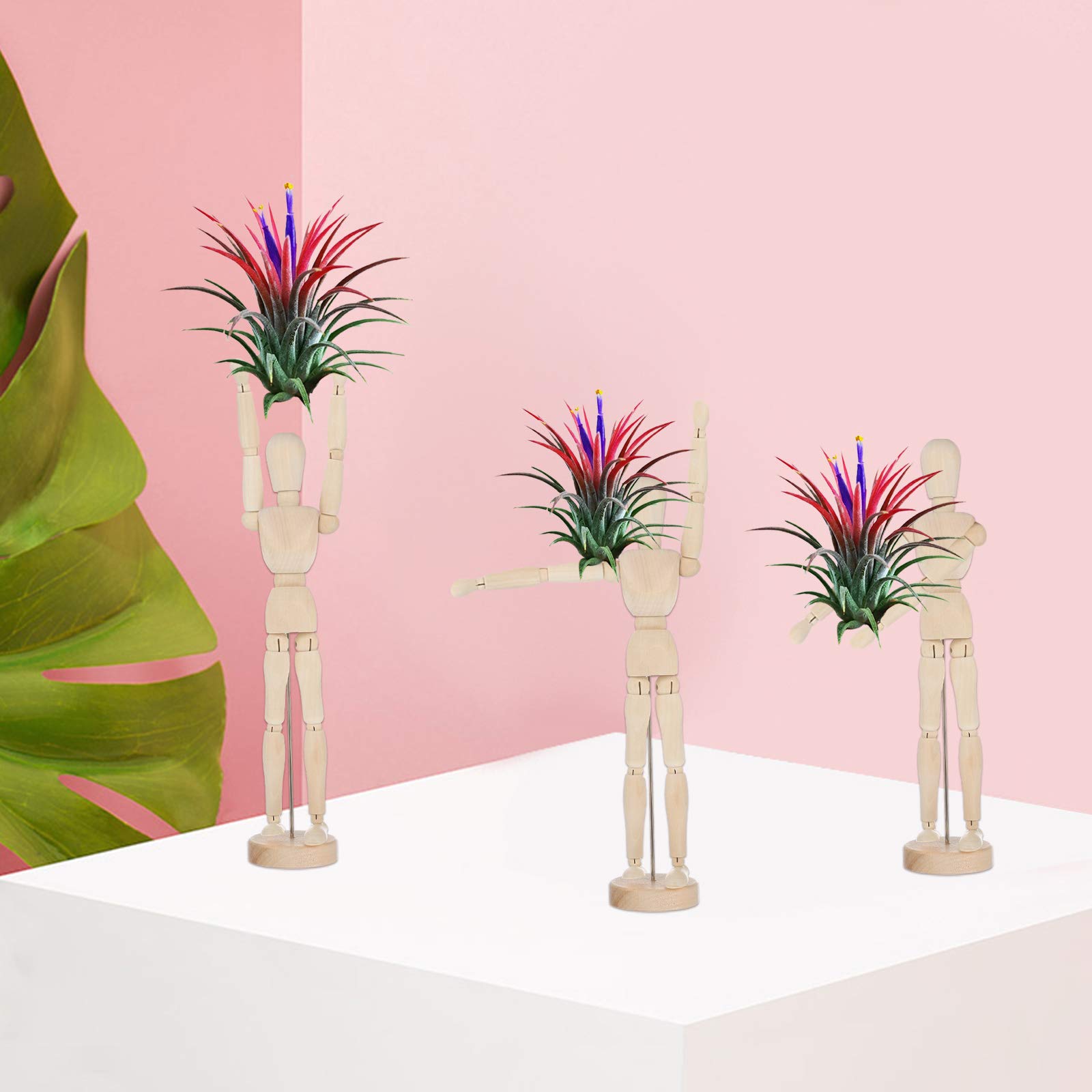 Rosenice Wooden Air Plant Holder - Decorative Tillandsia Stand for Pineapple Air Plants | Desktop Decor, Puppet Ornament & Joint Decor | Perfect for Home, Office, and Gift Giving