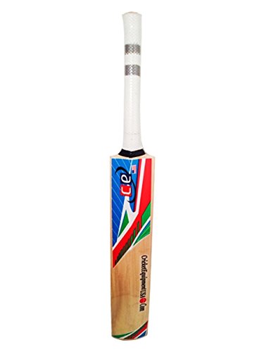Premium Kashmir Willow Cricket Bat - CE Power Max with Free Bat Cover | Perfect for Practice, Matches & Training | High Performance Cricket Equipment for Players & Enthusiasts