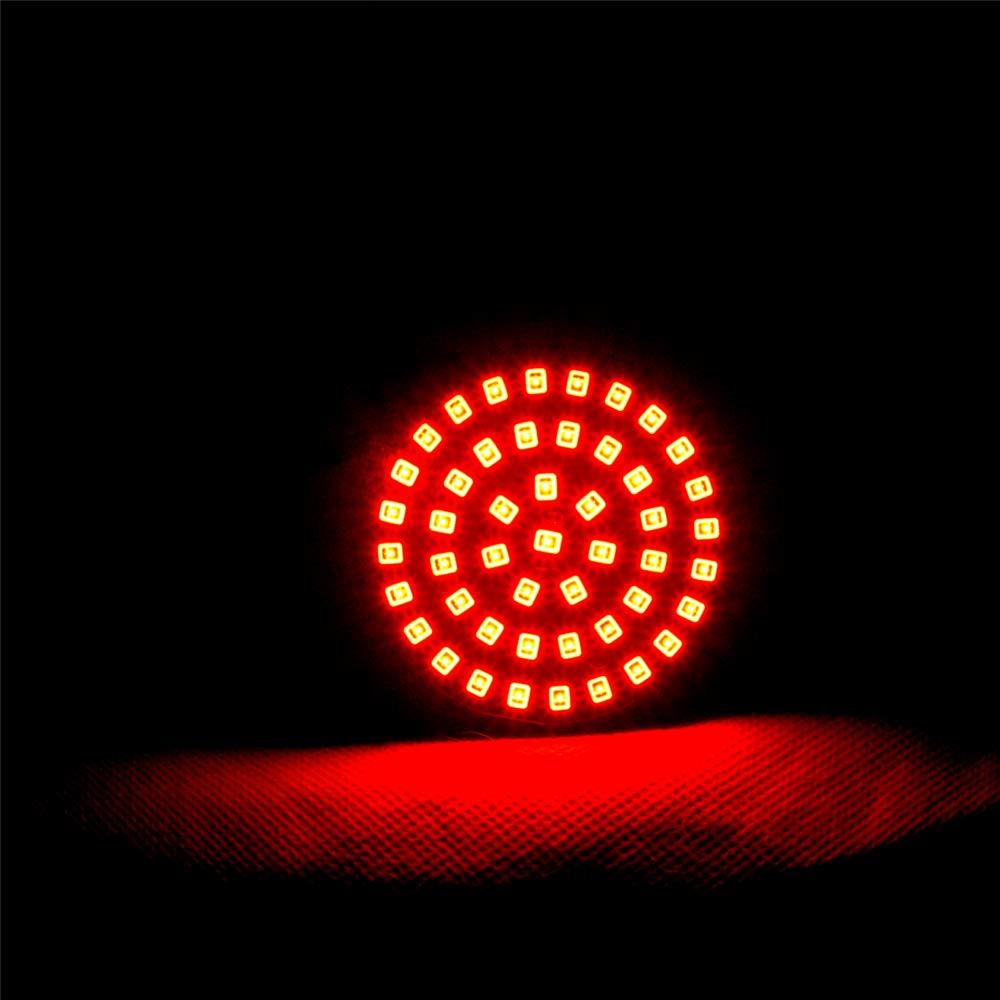 Eagle Lights SUNBURST Rear 2 LED Turn Signals for Harley Davidson Motorcycles - High Visibility Brake Lights for Night Riding & Safety