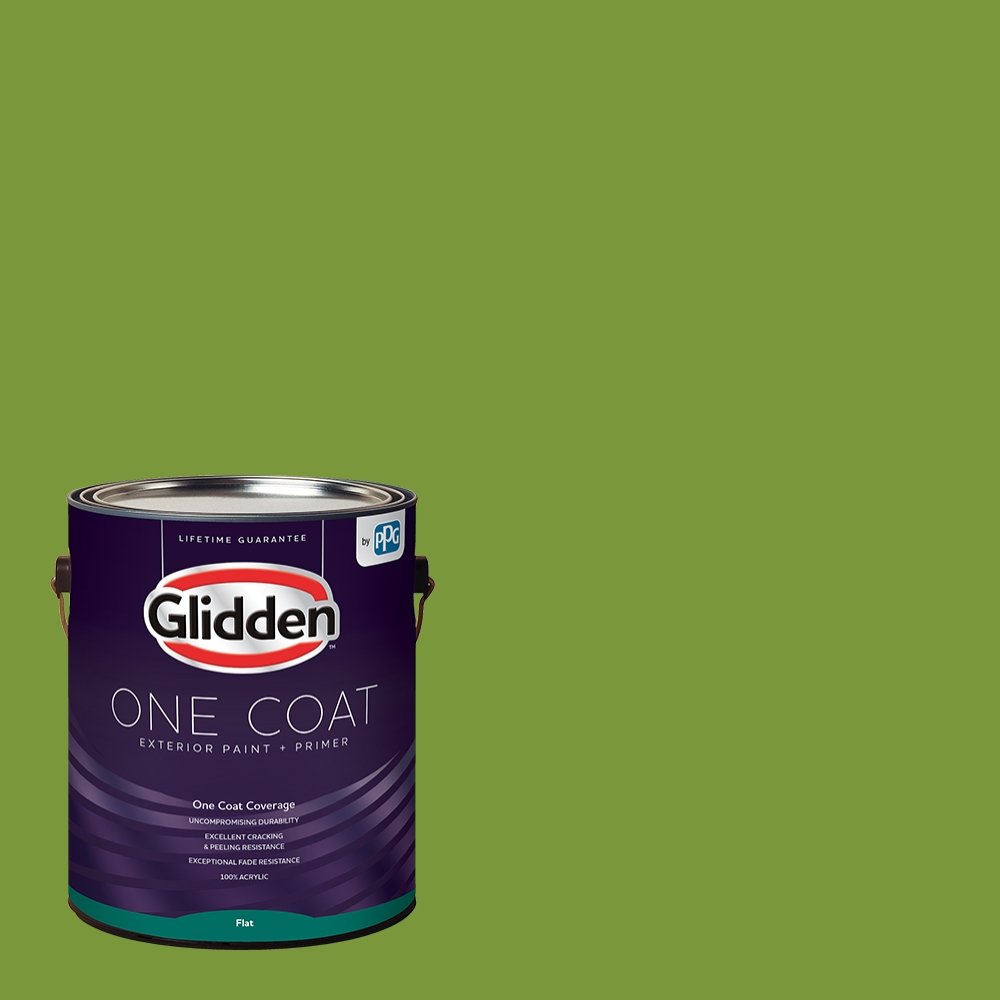 Glidden Exterior Paint + Primer - Green/Antique Moss, One Coat Coverage, Flat Finish, 1-Gallon for Outdoor Wood, Brick & Metal Surfaces - Perfect for House Siding, Fences & Garden Projects