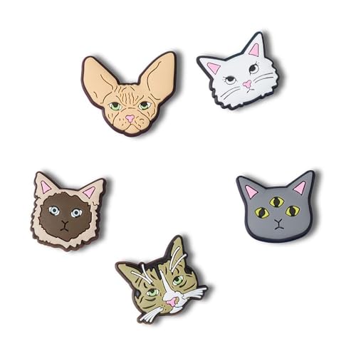 Odd Kitties