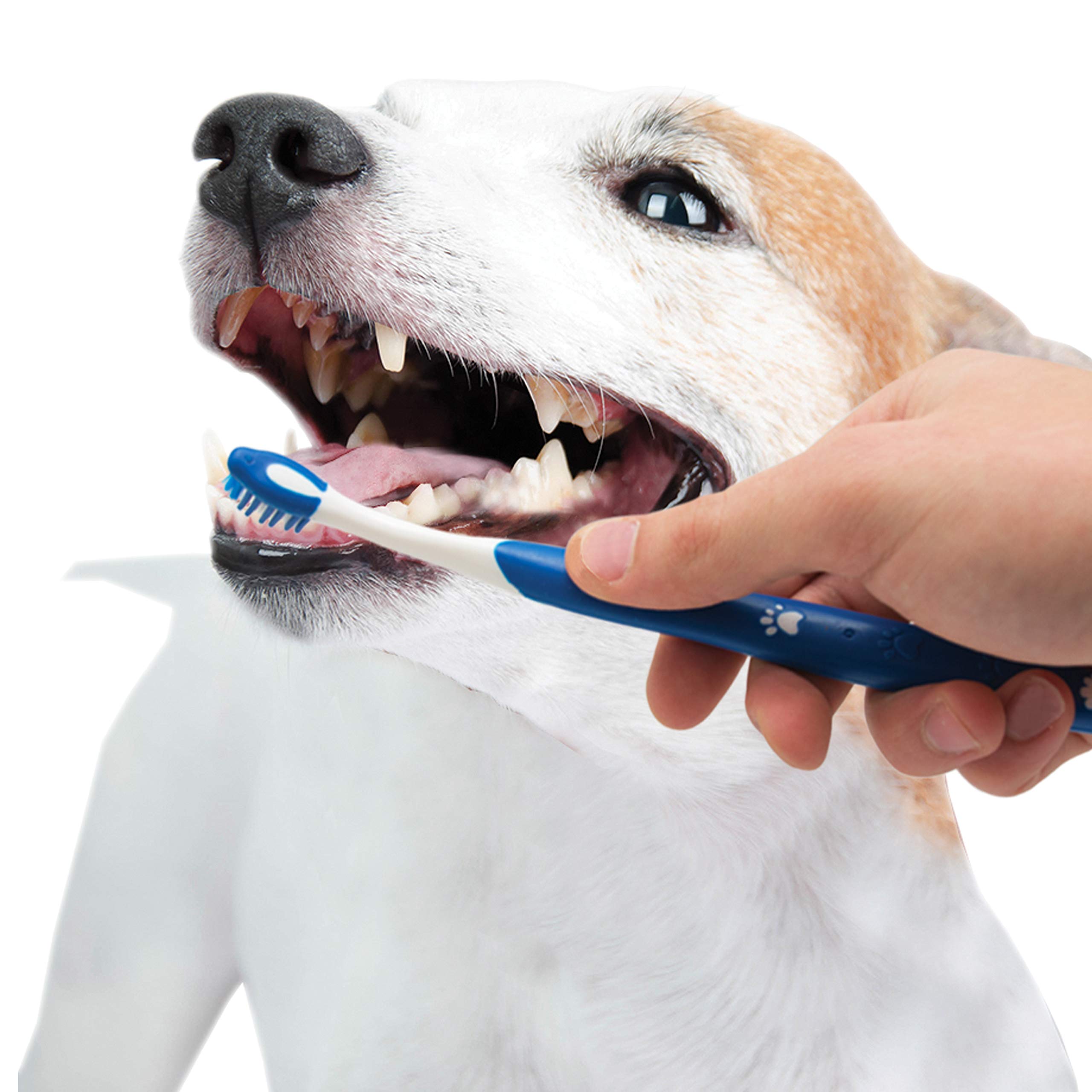 Nylabone Advanced Oral Care Puppy Dental Kit - Original Flavor (3 Count) for Teething Puppies & Dental Hygiene | Perfect for Small to Medium Breed Puppies