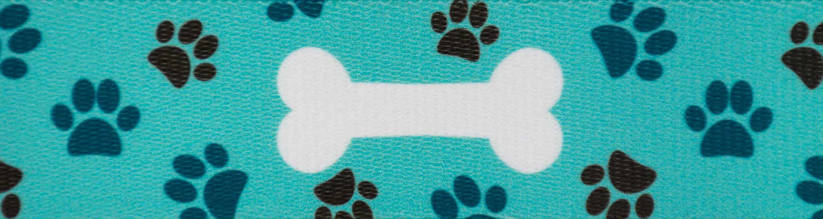 Country Brook Design - Oh My Dog Polyester Webbing Dog Collar & Leash Set - Durable Pet Accessories for Small Medium Large Dogs - Perfect for Walking Training & Outdoor Adventures