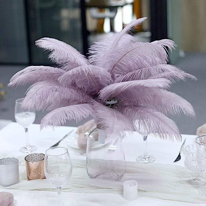 12 Pcs 10-15 Inch Genuine Ostrich Feathers for DIY Crafts, Wedding Decorations, and Costume Accessories